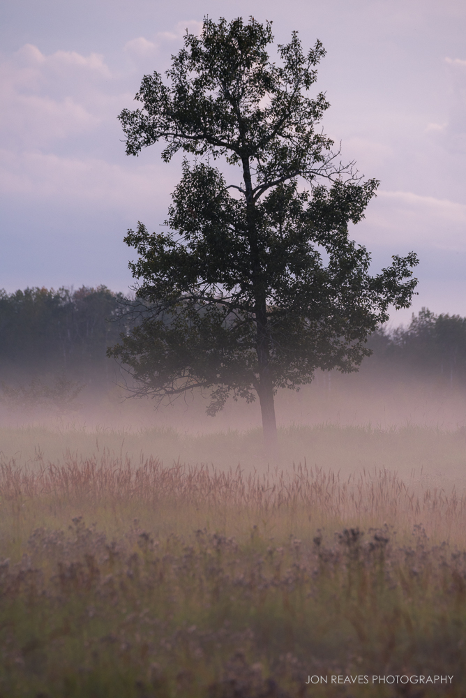 _DSC9505-2.jpg