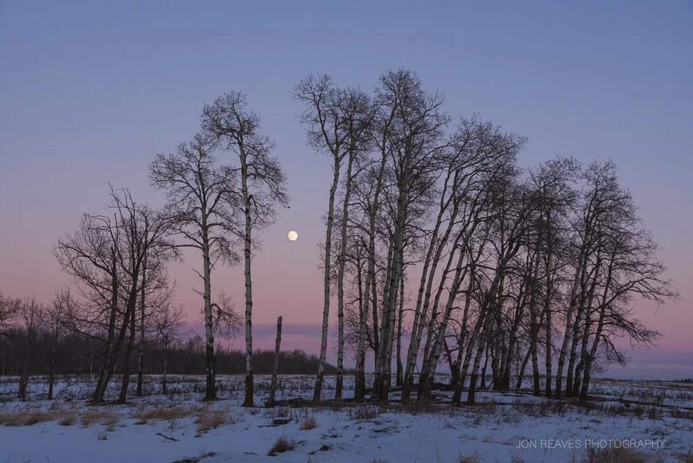 Elk Island National Park Blog Maps Cameras