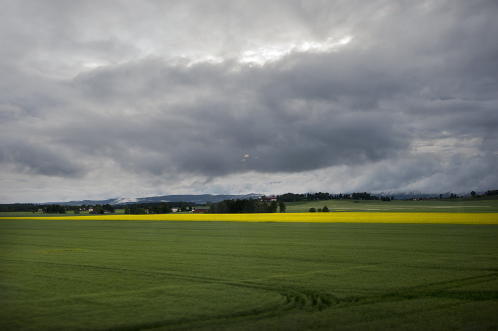 View from the train to Oslo__3.jpg