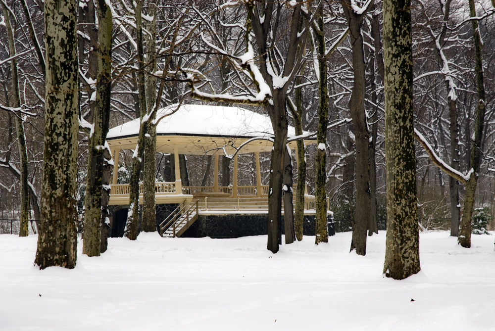 Prospect Park in Snow_122A.jpg