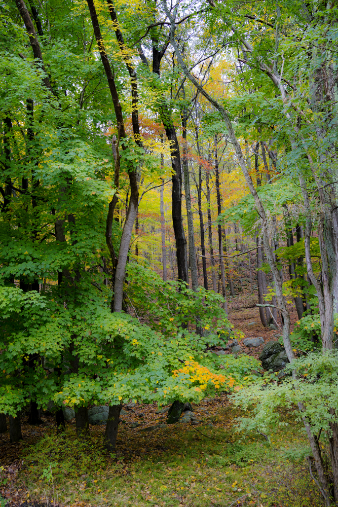 Harriman State Park Hike_006.jpg