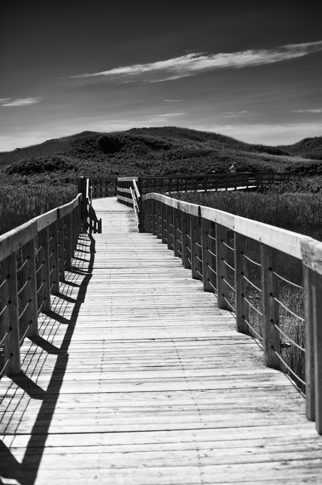 Prince Edward Island_067 b&w.jpg