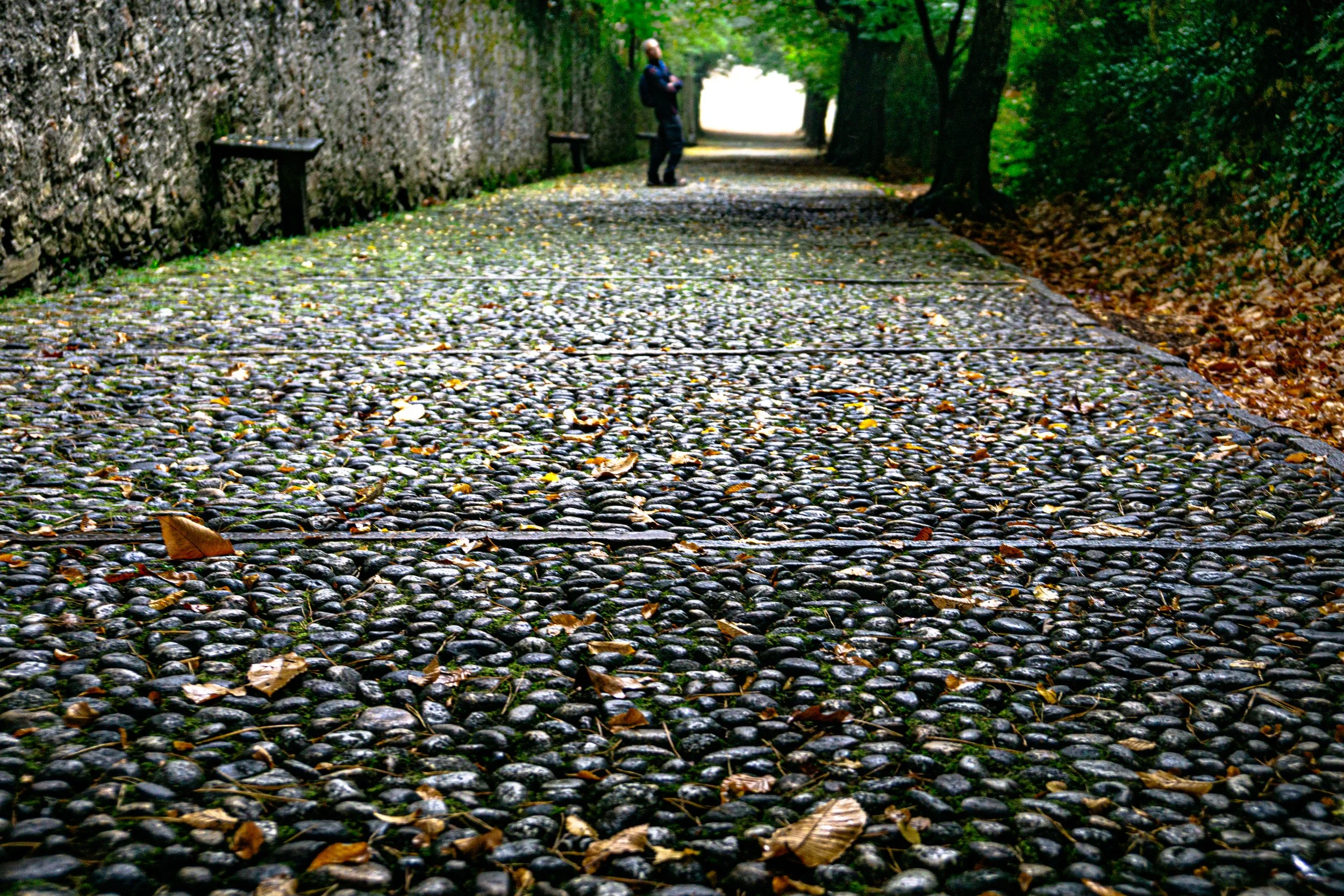 Italy 2018_18_0811A copy 2.jpg