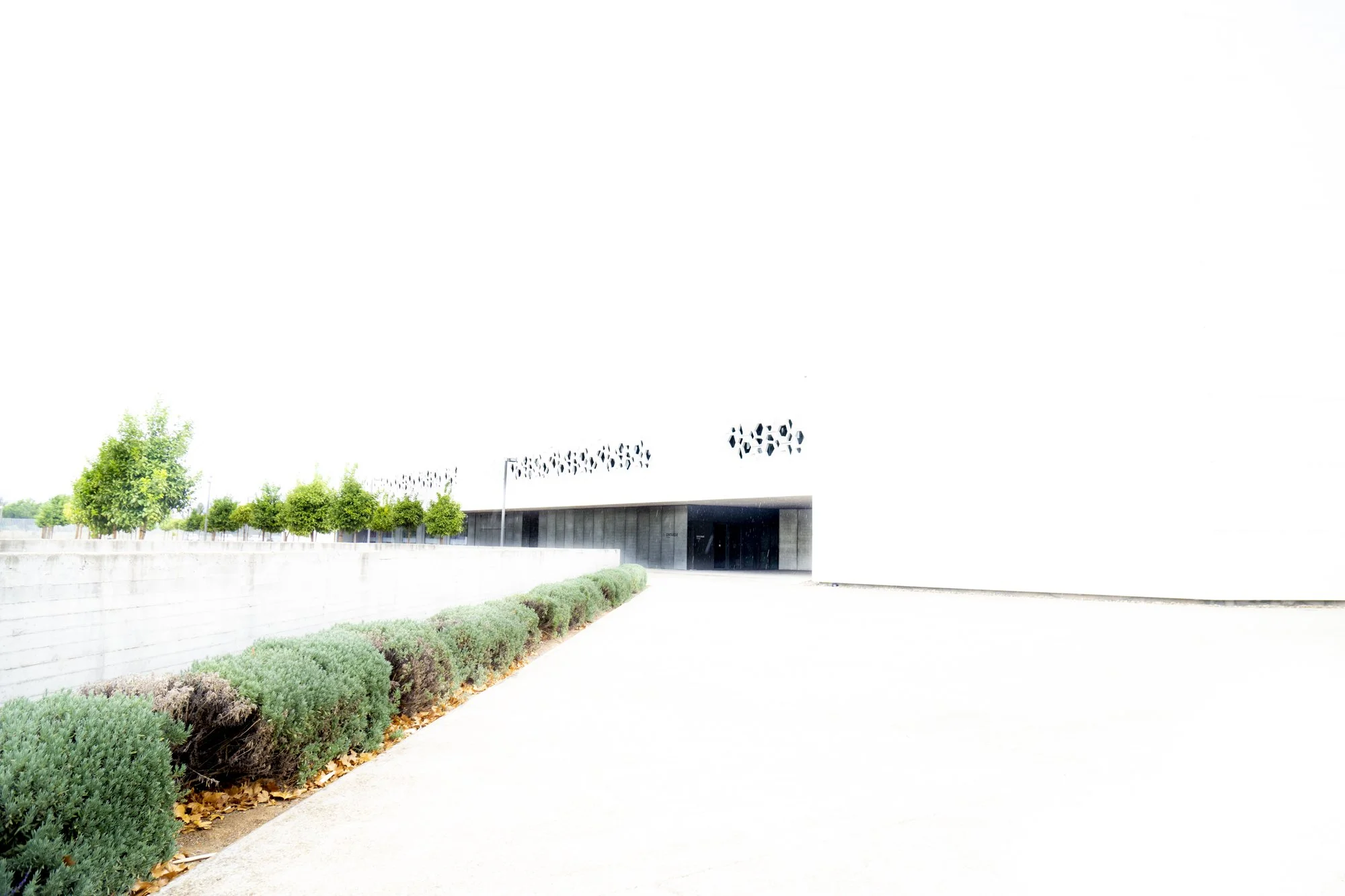 Andalucia Spain 2019_23_126.jpg