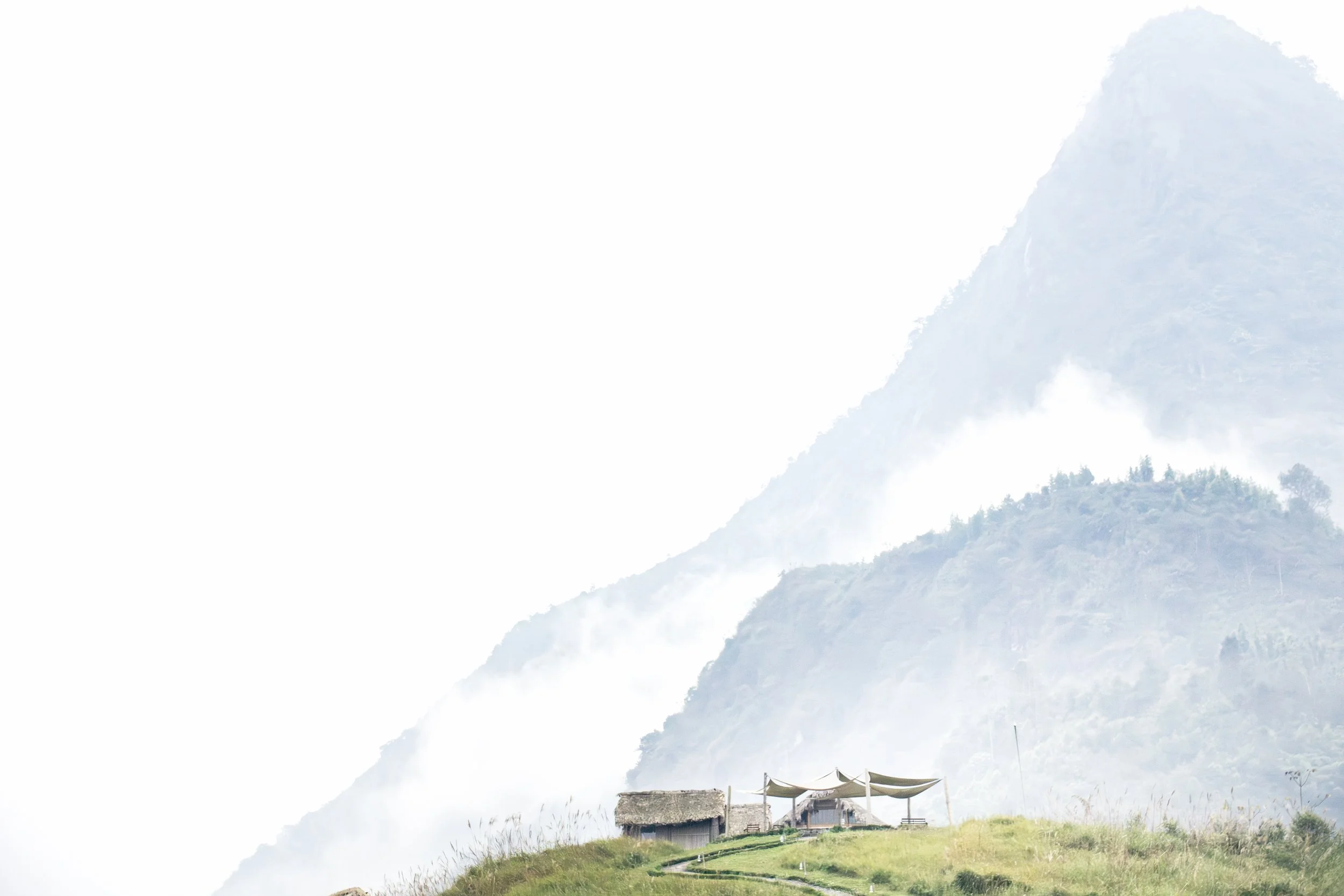 Light on White VN2 copy.jpg