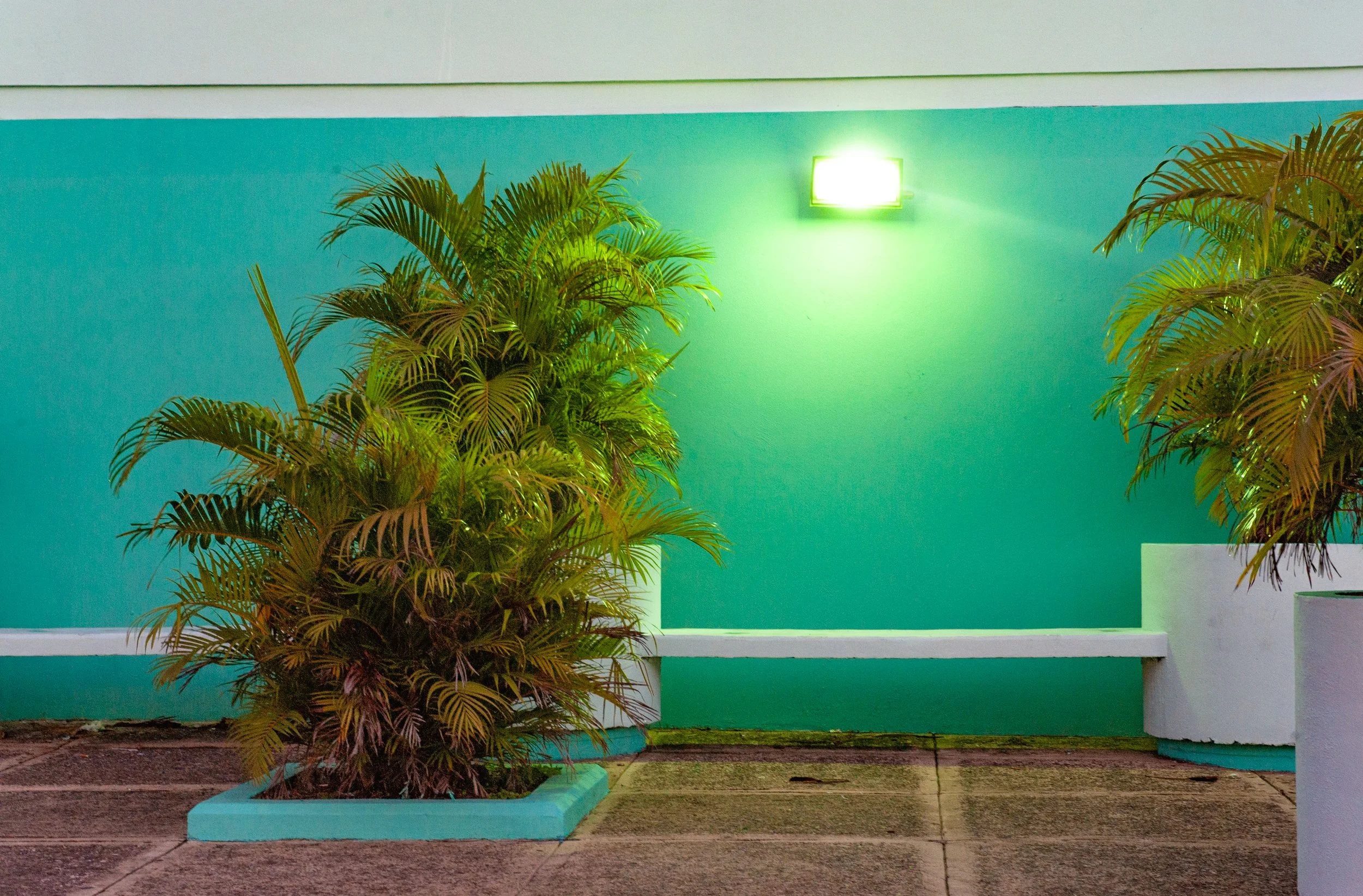 Vieques, PR_444 copy 2.jpg