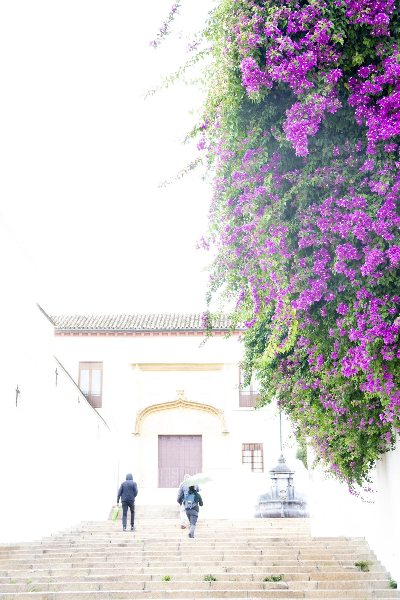 Andalucia Spain 2019_23_141.jpg