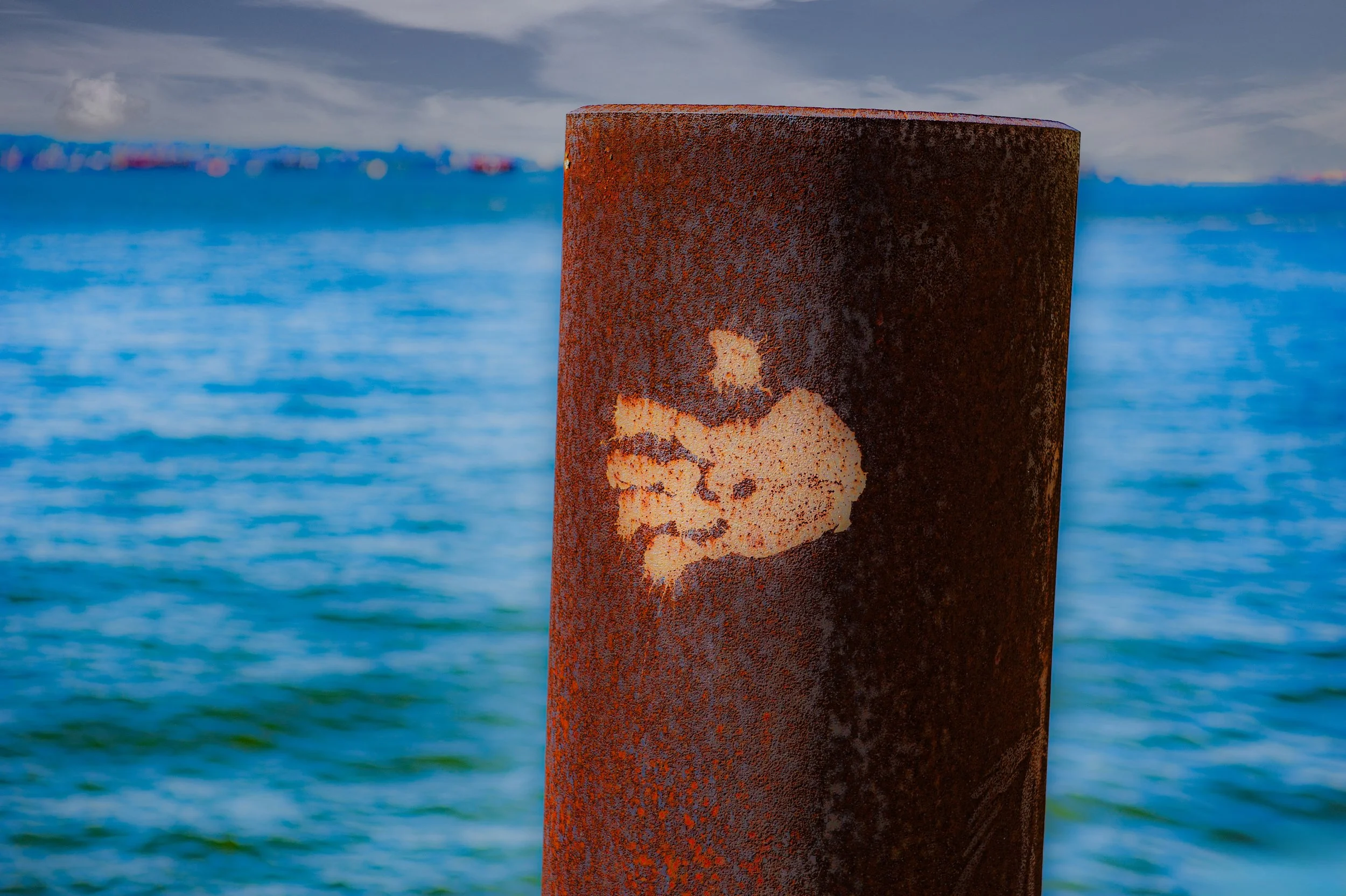 Chloe 2014_345 copy.jpg