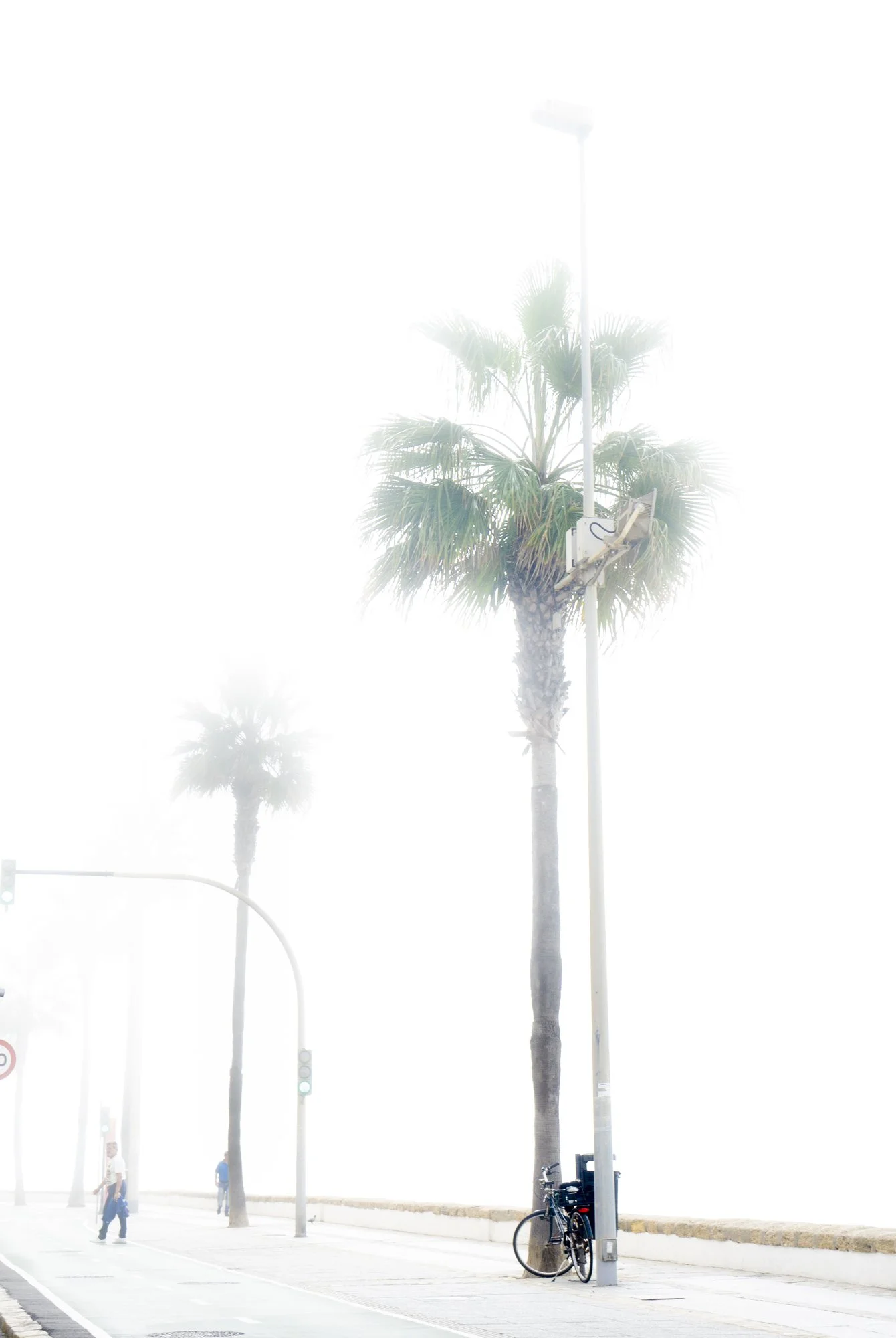 Andalucia Spain 2019_29_564.jpg