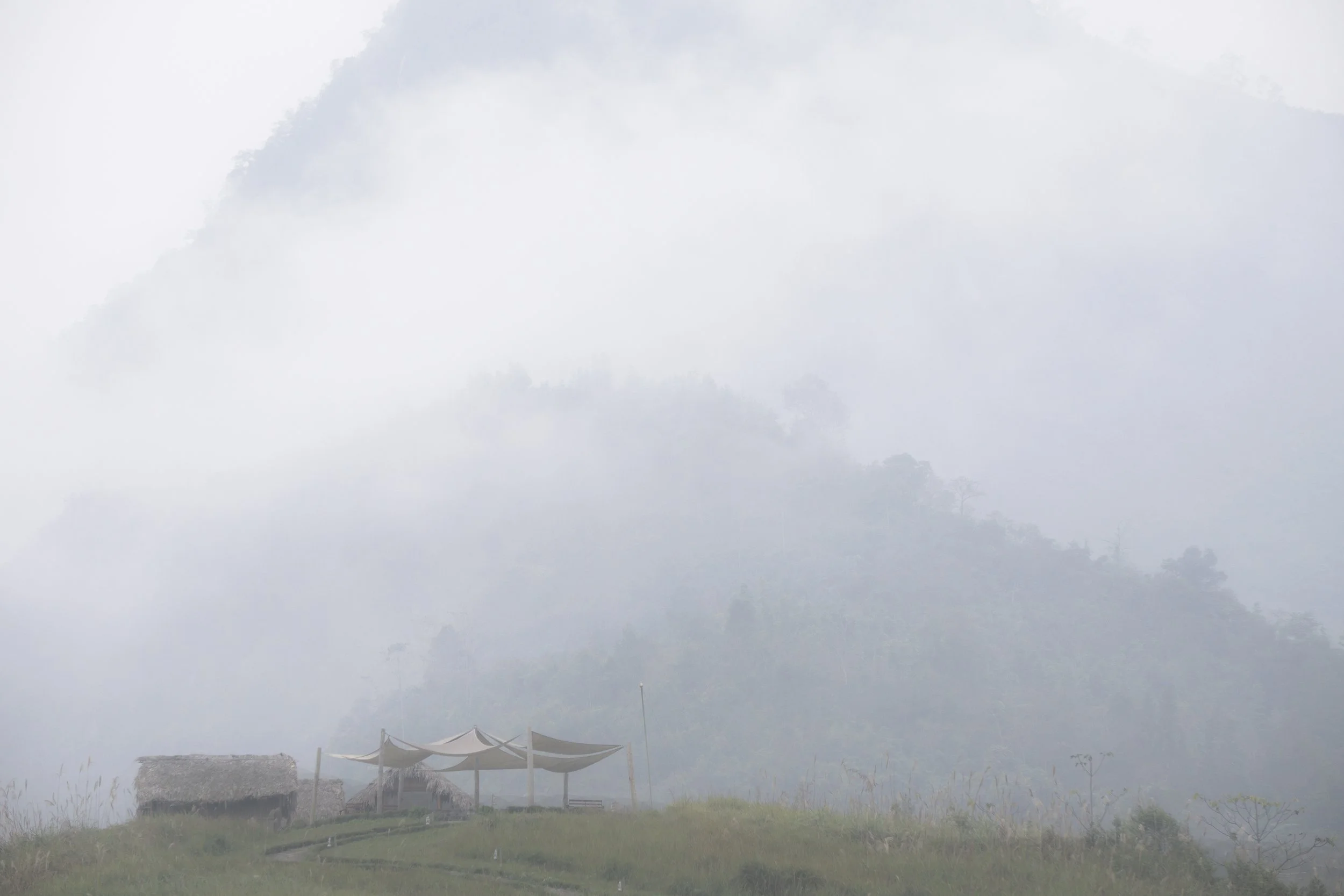 Light on White VN copy.jpg