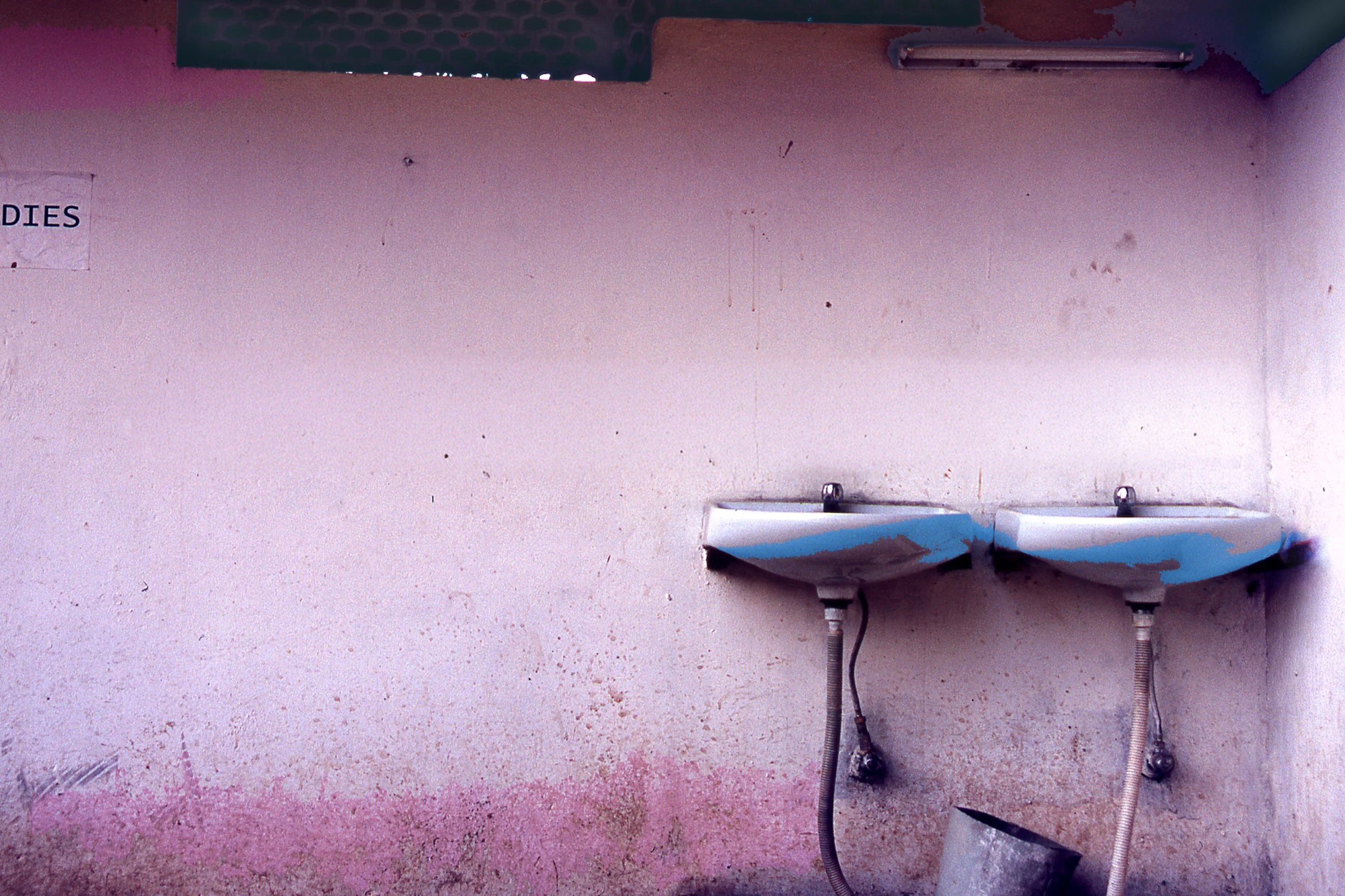 DIES_ lo res watermark copy 2.jpg