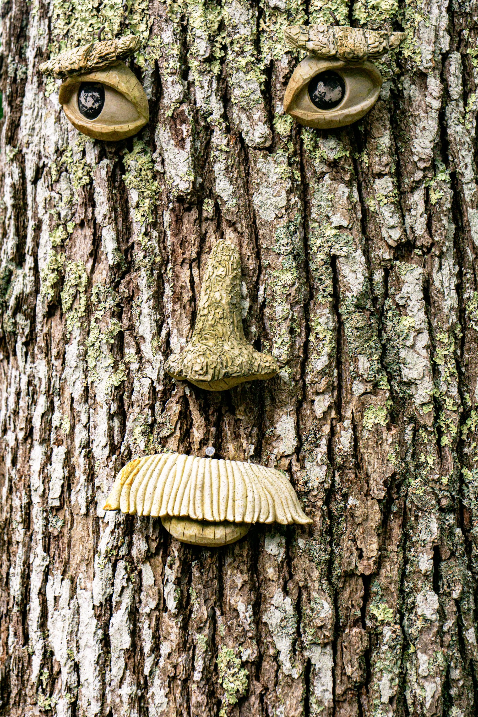 Martha's Vineyard 2020_249 copy 2.jpg