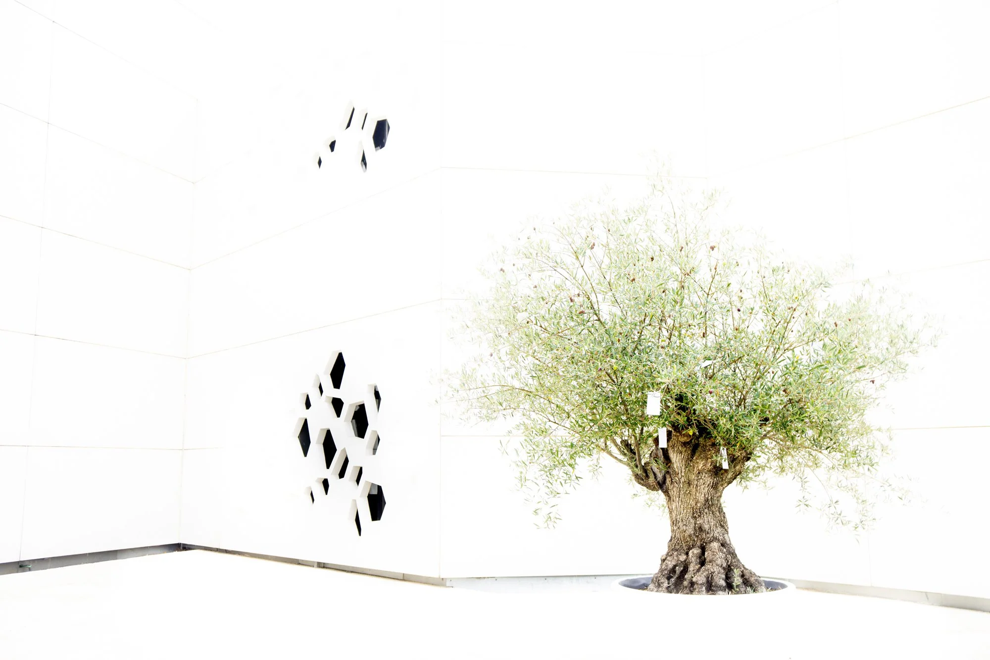 Andalucia Spain 2019_23_119.jpg