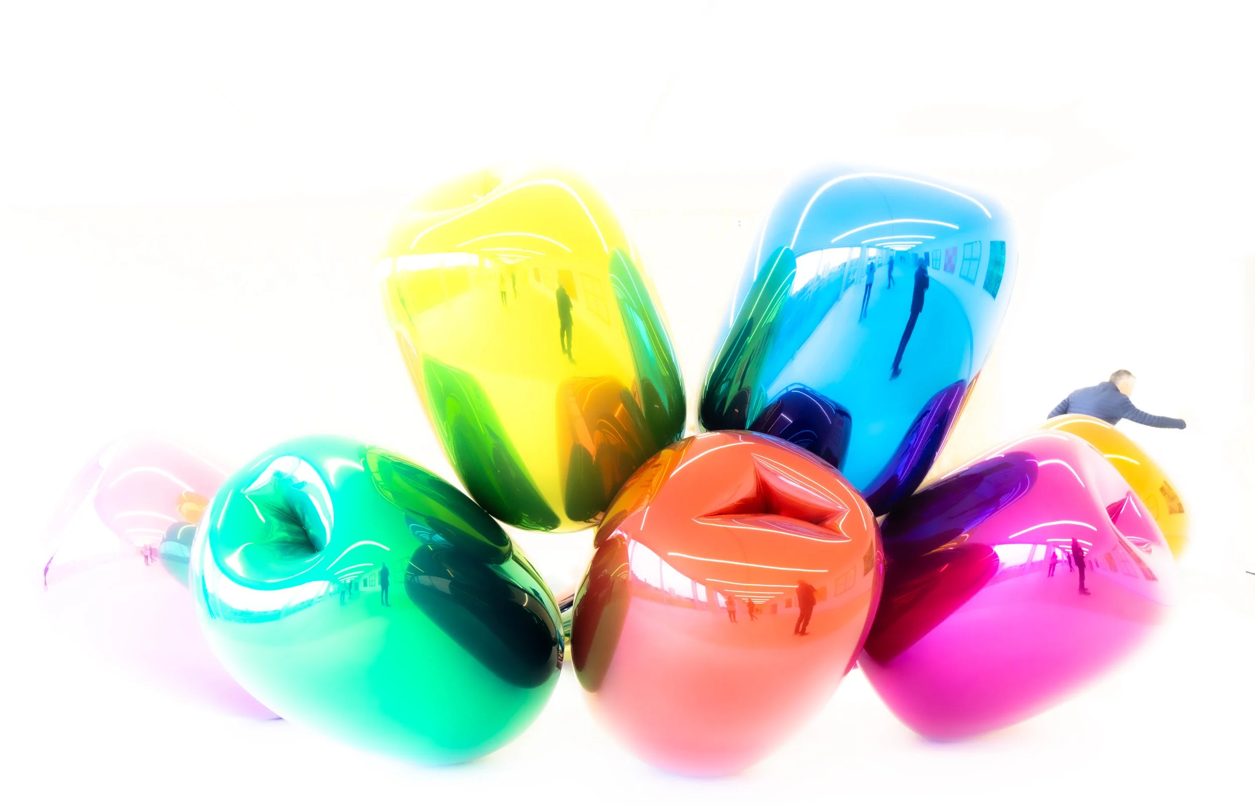 Light on White Koons copy.jpg