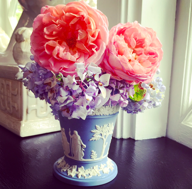 Bringing my roses and hydrangeas inside for some happiness