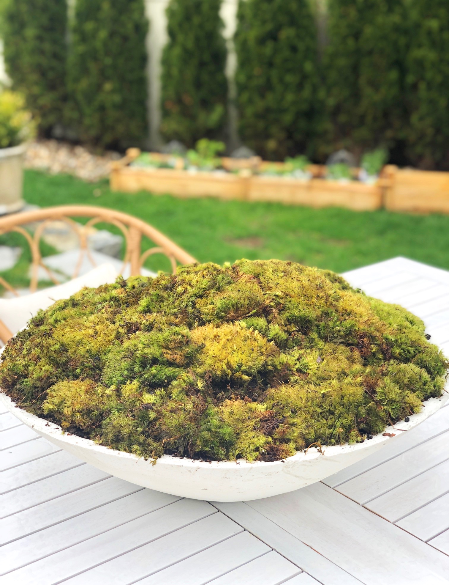 In the Garden: How to Make a Moss Garden Bowl — STYLEPRODUCTIONS