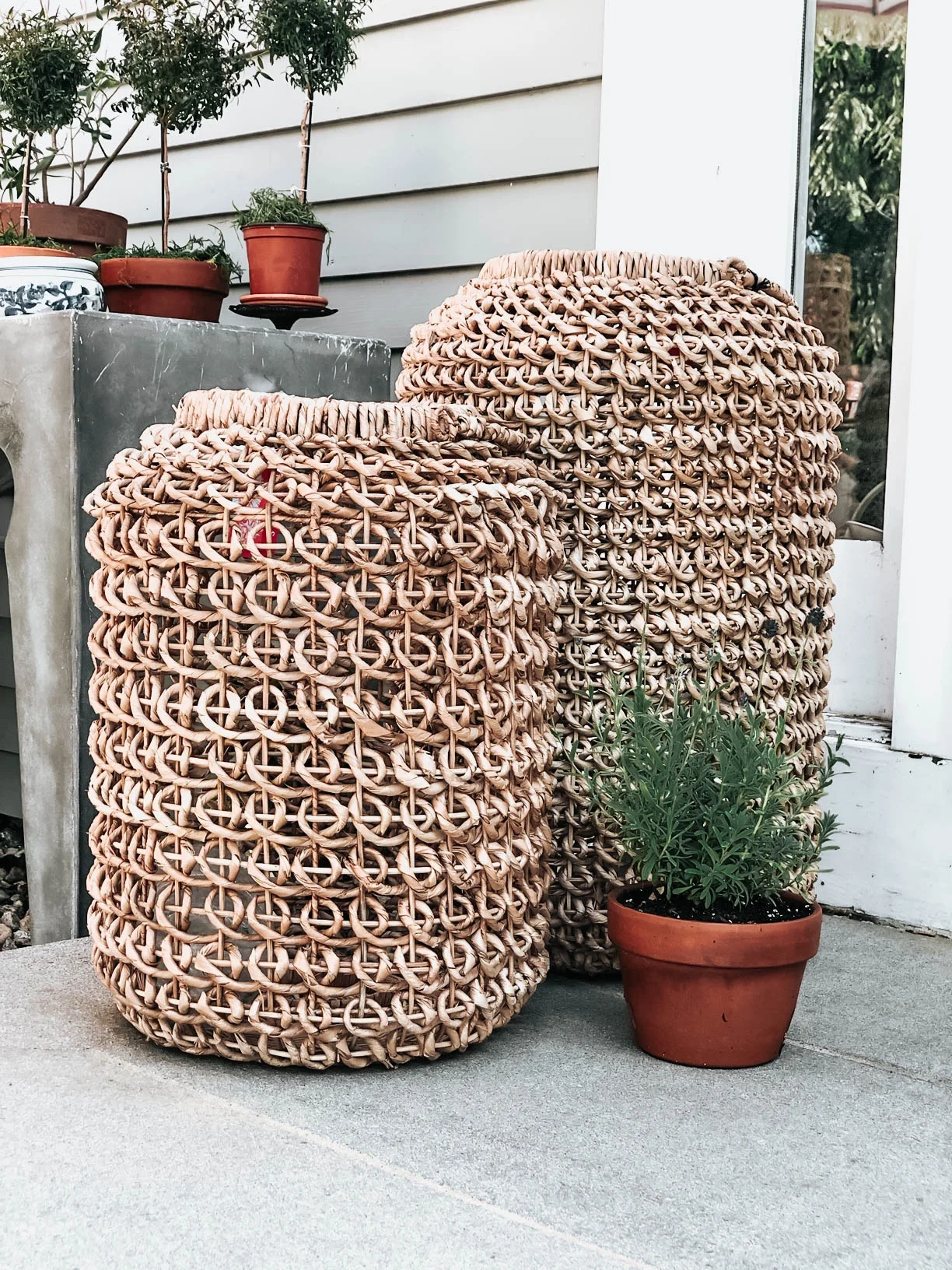 basket.jpg