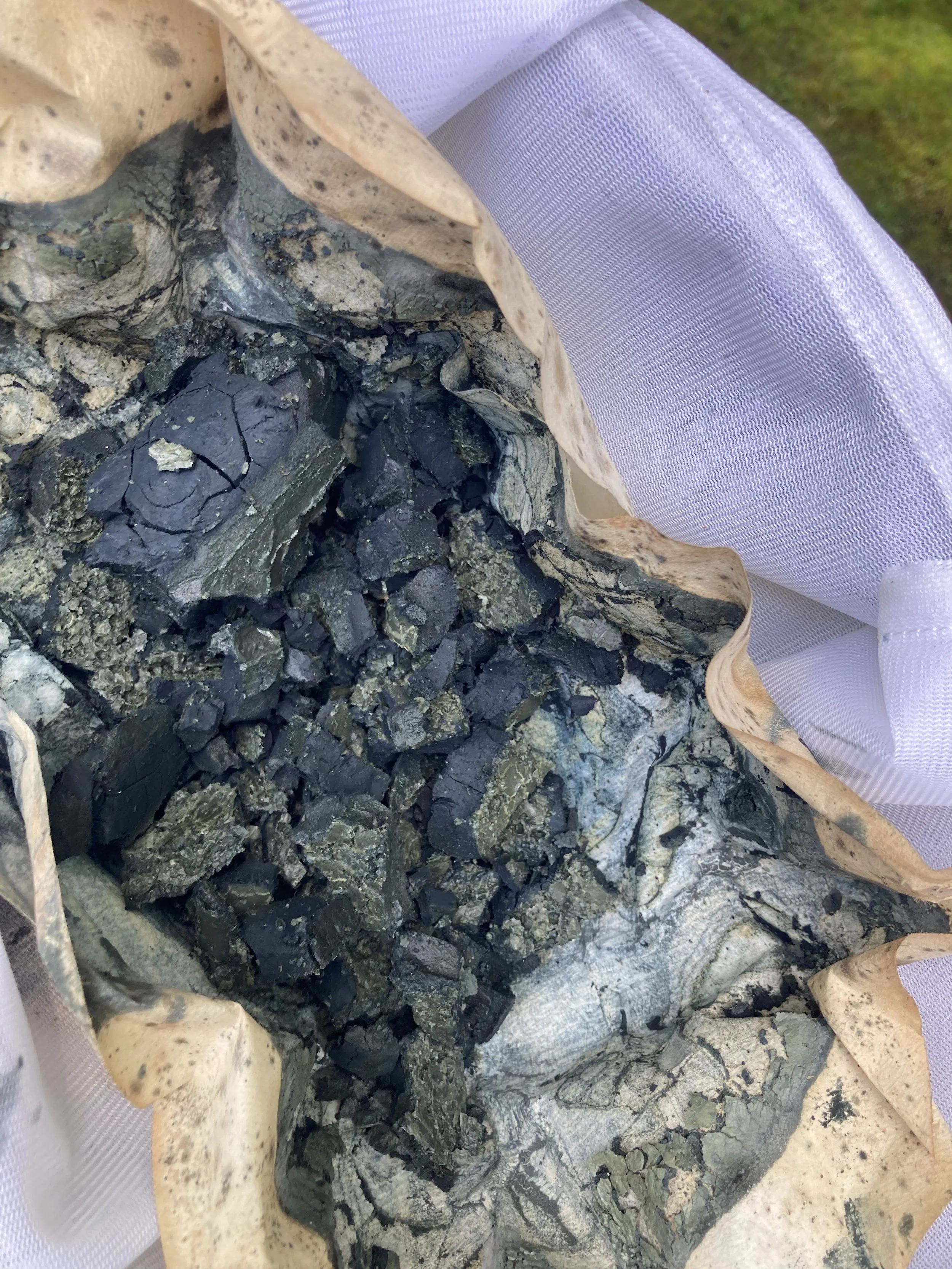 IMG_2625.jpeg (Copy)