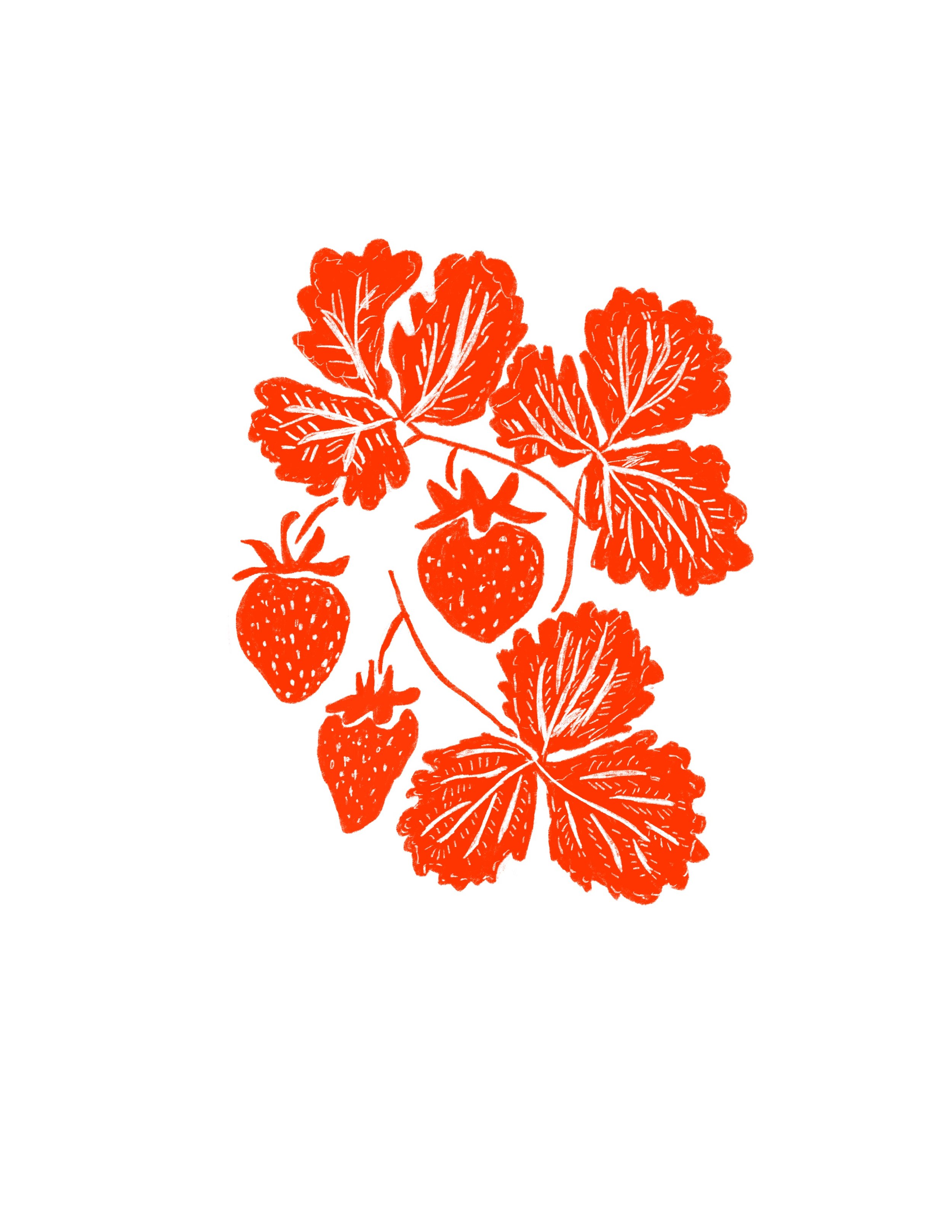 Logo for Strawberry Valley Farm 