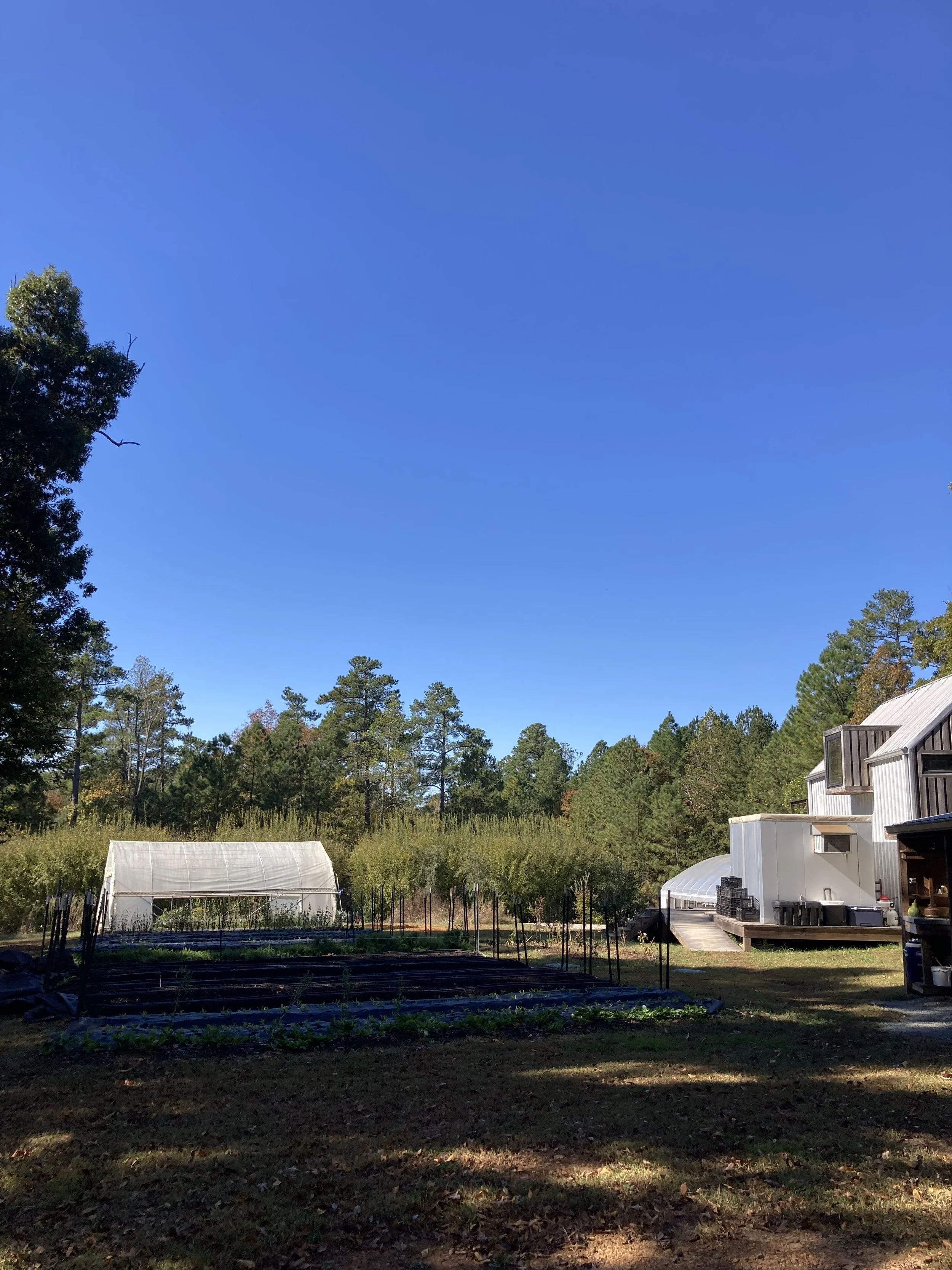 IMG_4319.jpeg (Copy)