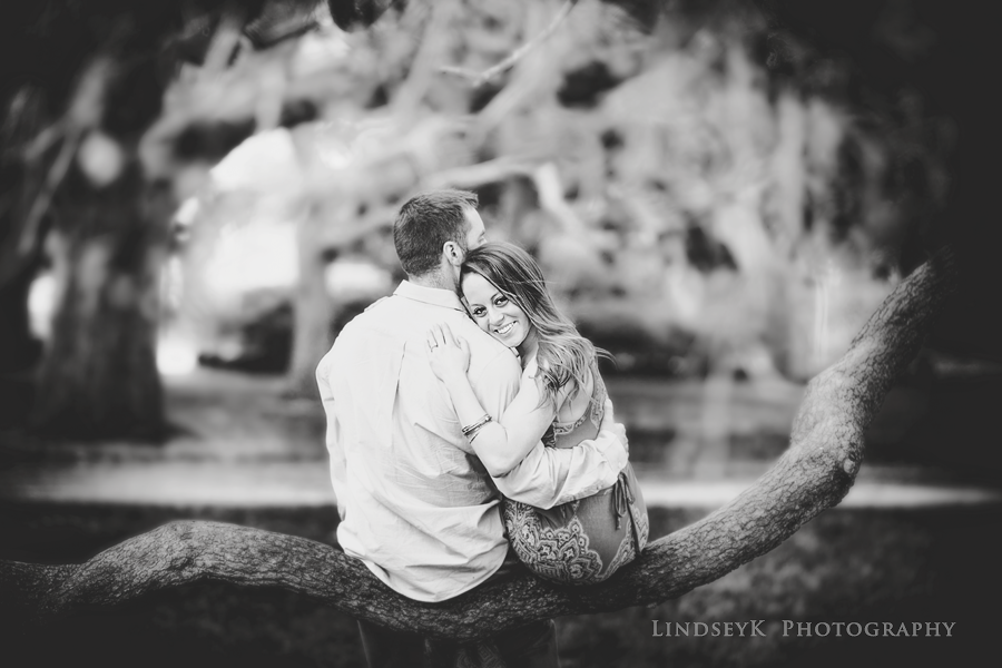 charleston-oak-tree-engagement.png