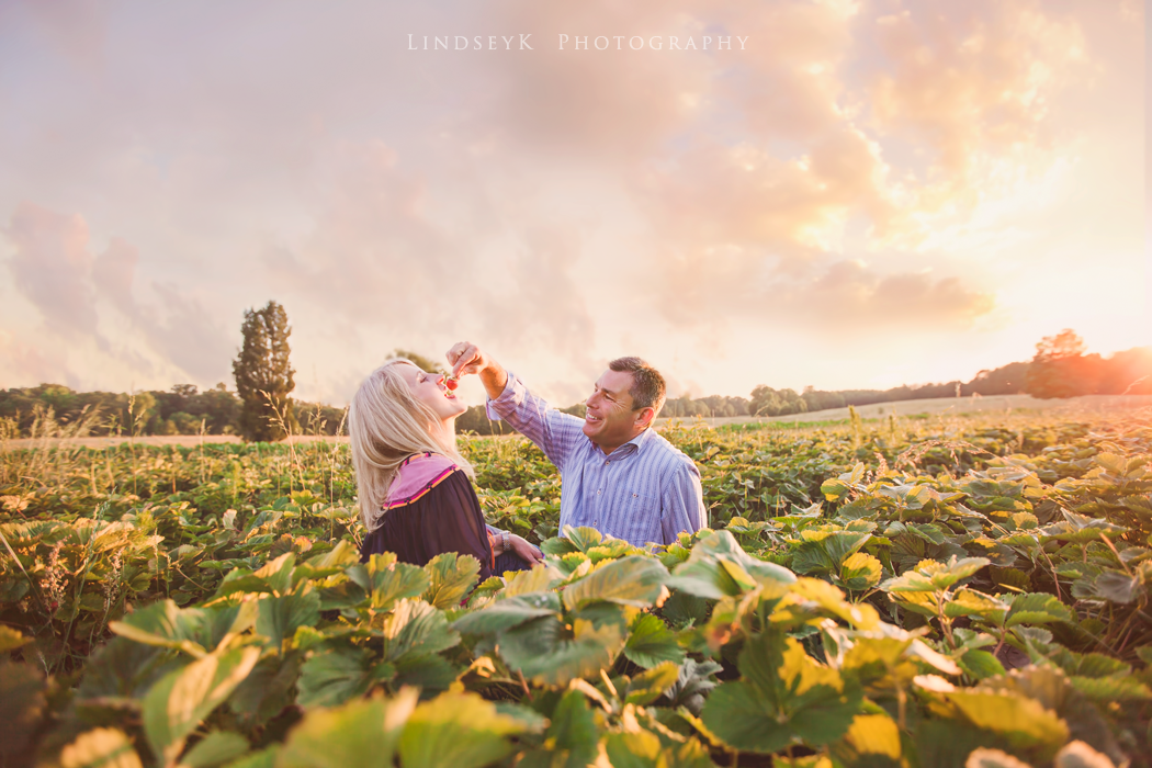 strawberry-fields-sc.png