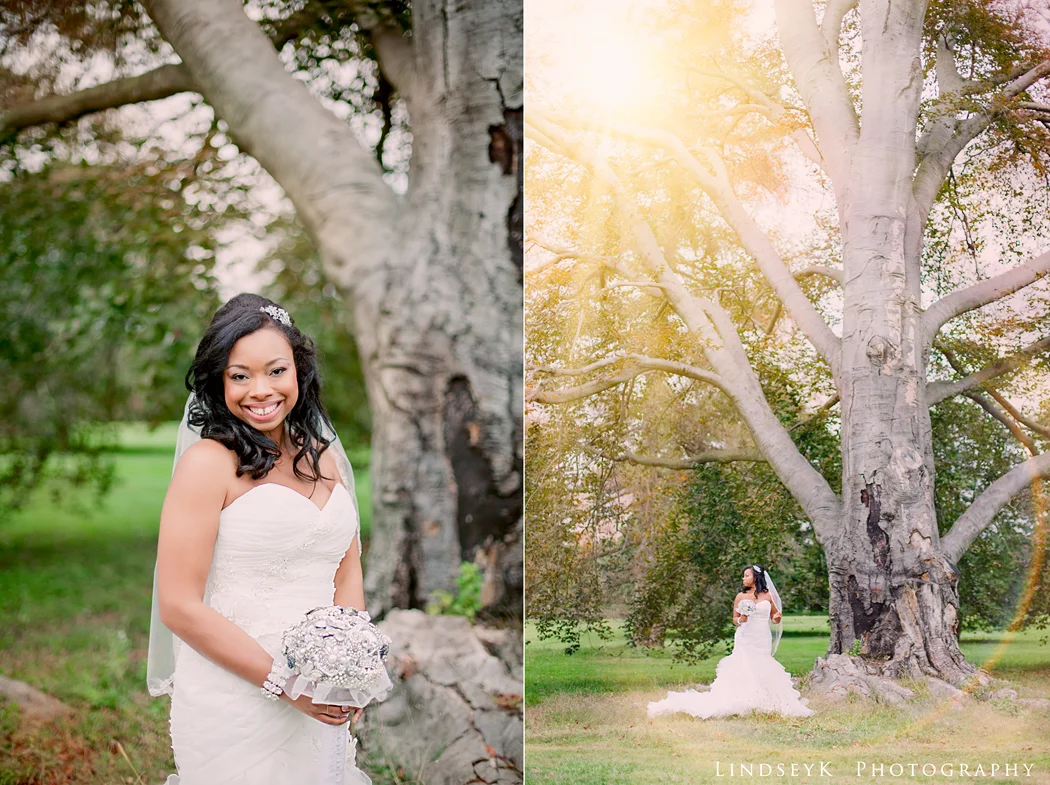 bridal-portrait-large-tree