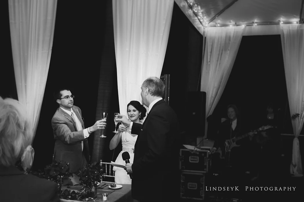wedding-toast