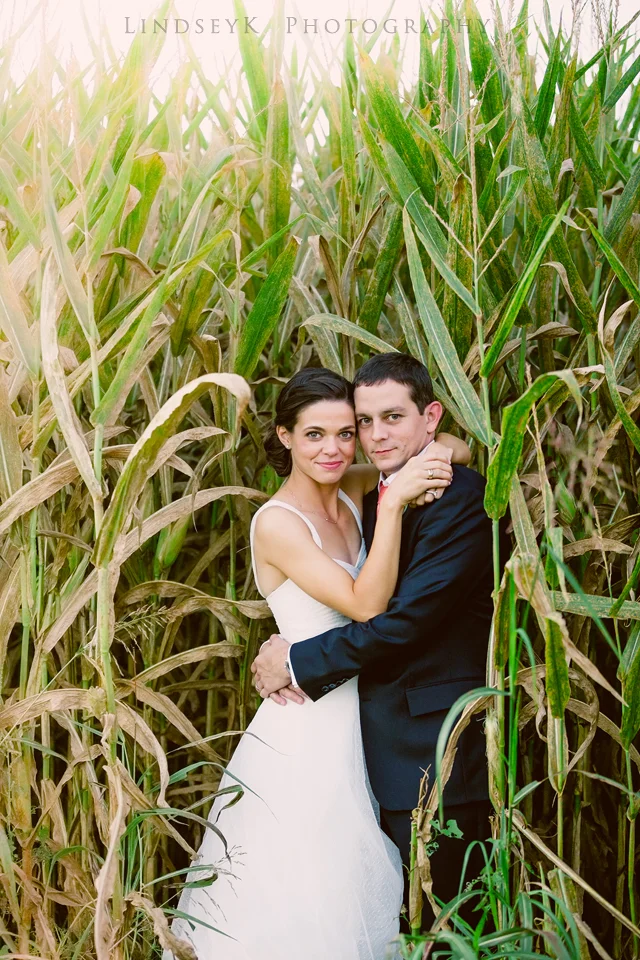 charlotte-corn-maze.jpg