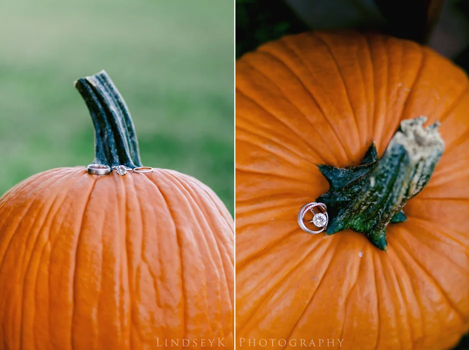 fall-ring-shot.jpg