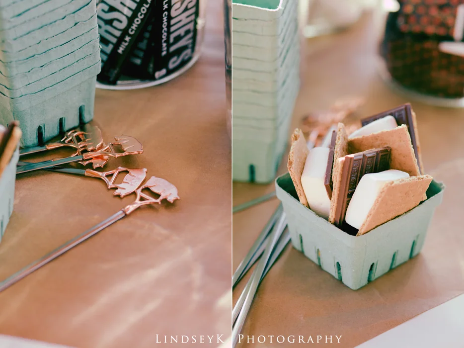 wedding-smores.jpg
