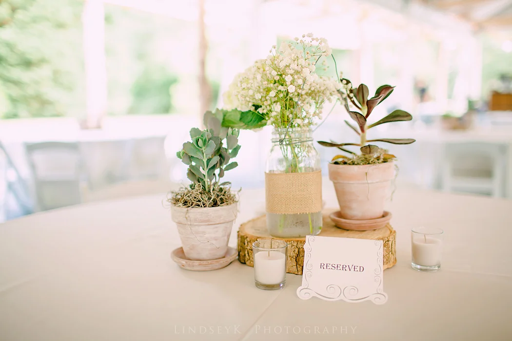 succulent-centerpieces.jpg