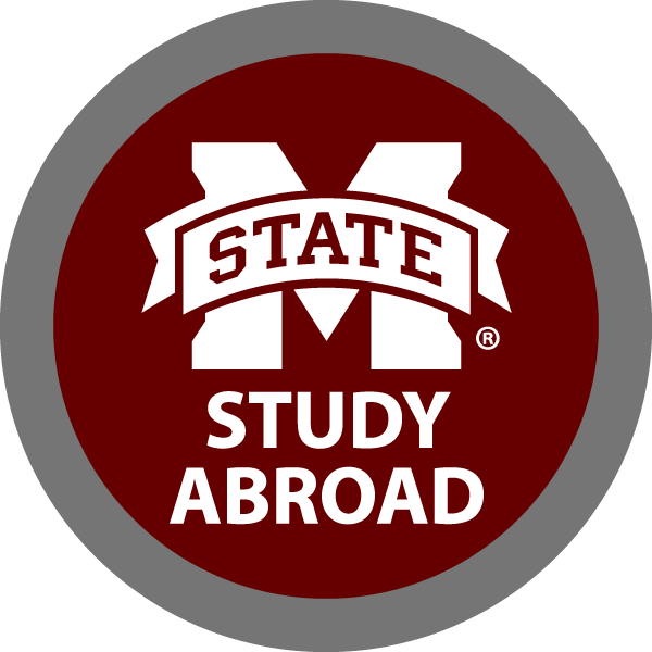 HSGD_ProjectStudyAbroad.png