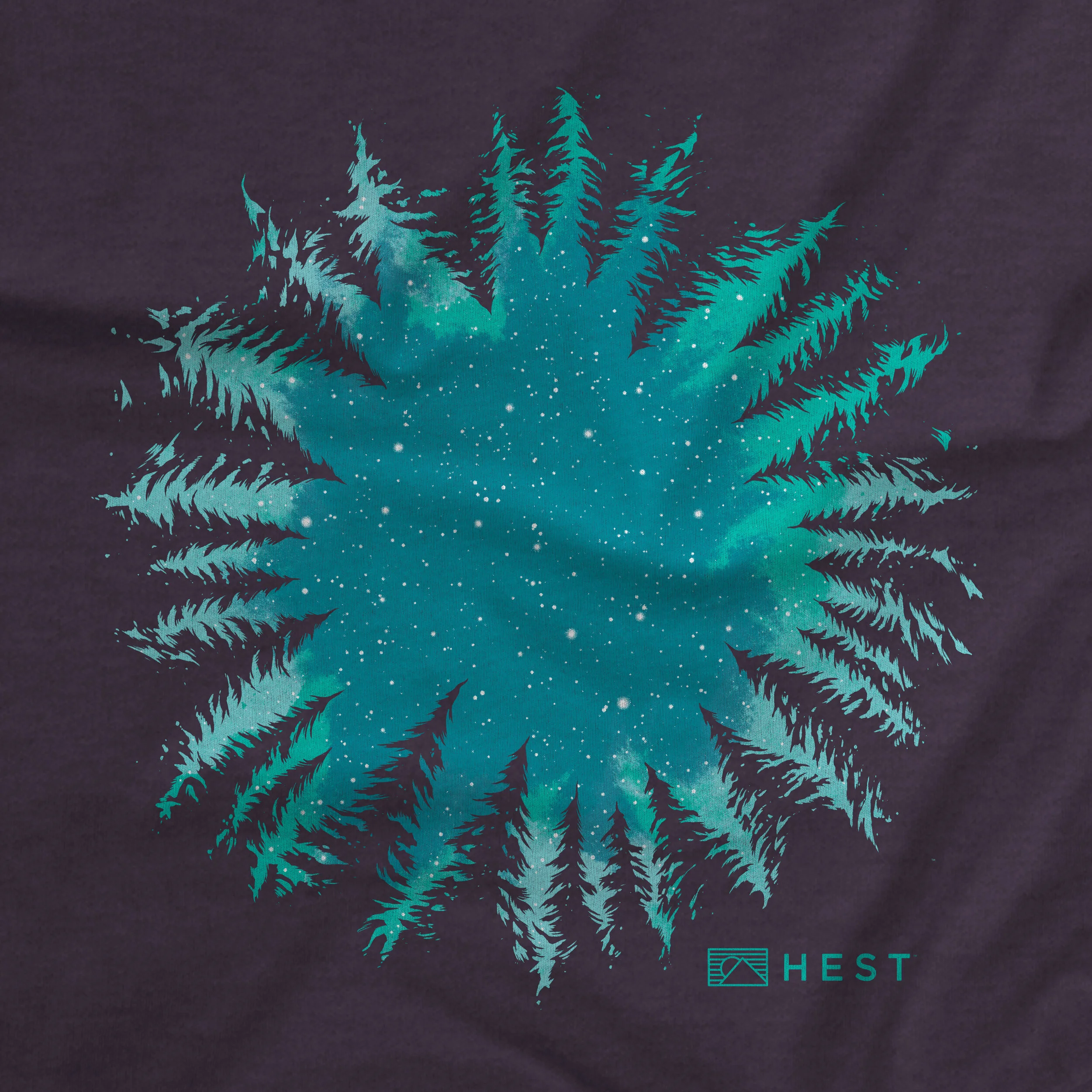 HEST_WMNS_Stargazer SS Tee_Close.jpg