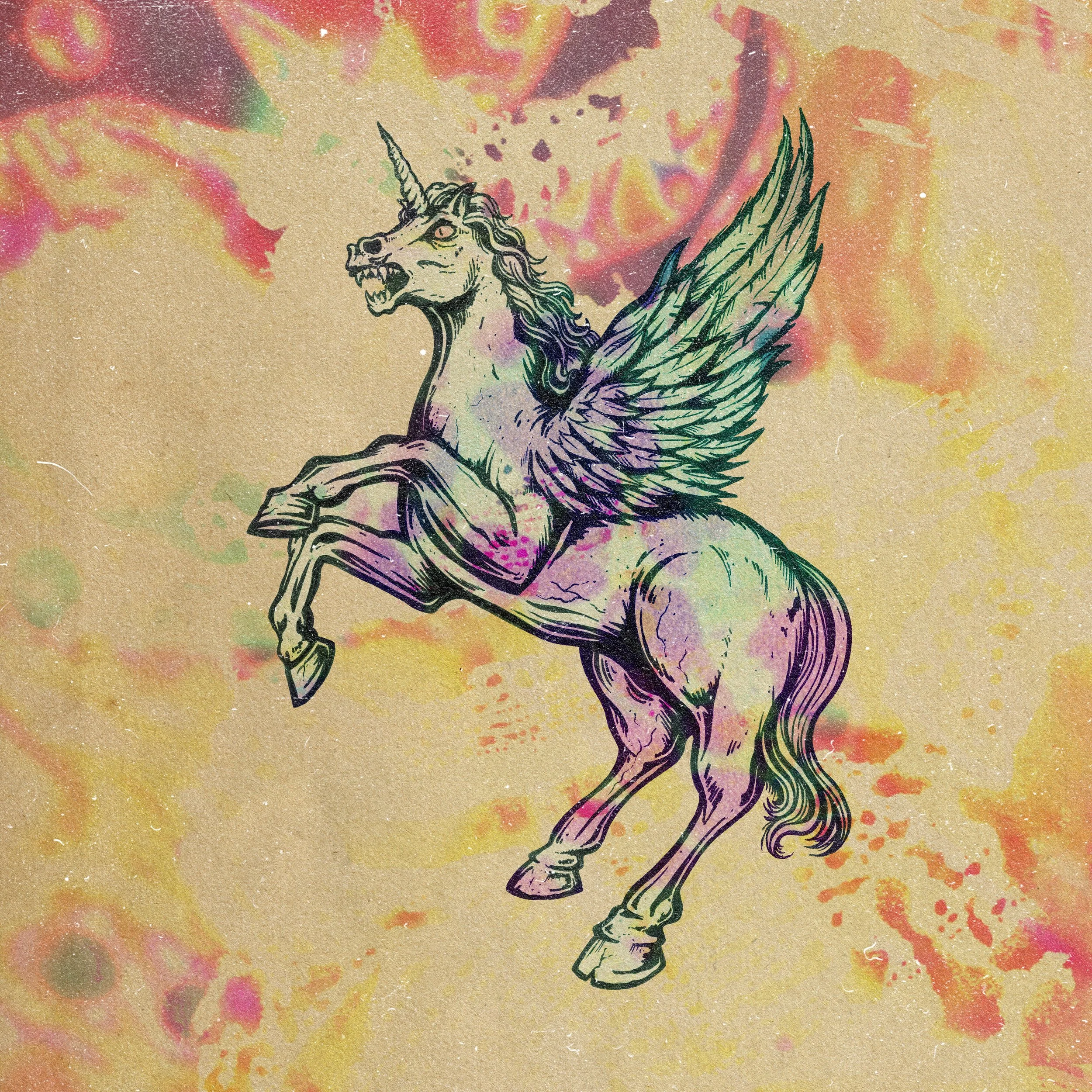 IG_SD_Black Sunshine_Pegasus.jpg