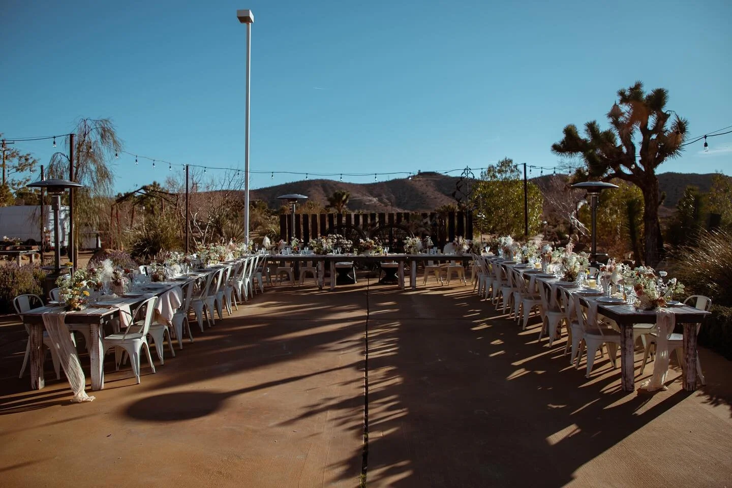 Loved this intimate wedding dinner setup 🍽️✨
Featuring our in-house tables + chairs 🥰

Planner: @weddingsbysabrina
Venue: @tumbleweedsanctuary
Bar: @lacantinacocktails
DJ: @supermoondjs
Catering: @wheatandfire
Florist: @frenchbuckets 
Photographer: