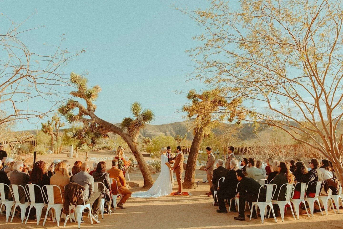 Our Joshua Tree Ceremony Site 💚 photo: @andieaveryphoto