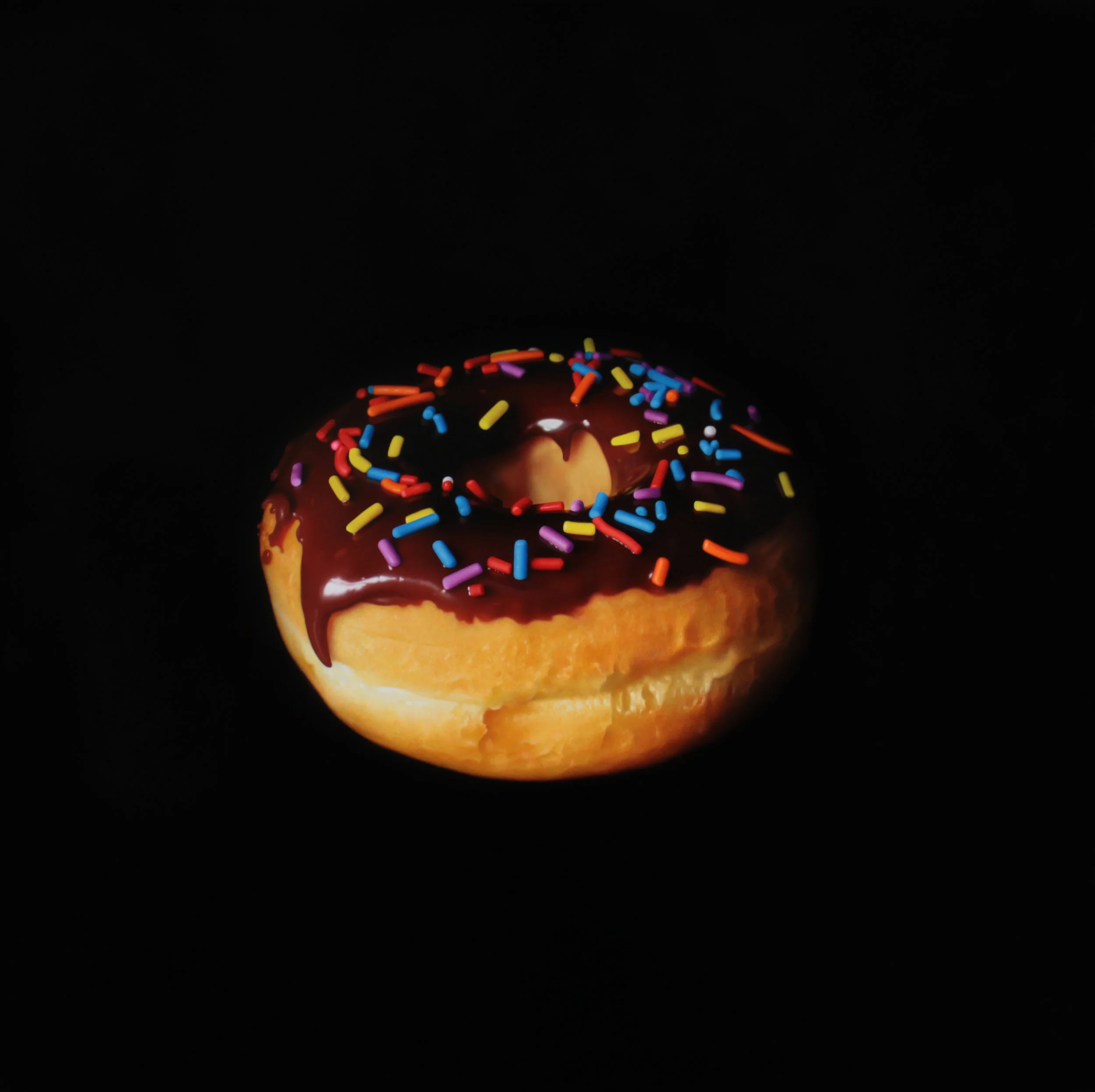Sprinkle Chocolate Donut. Oil on panel.