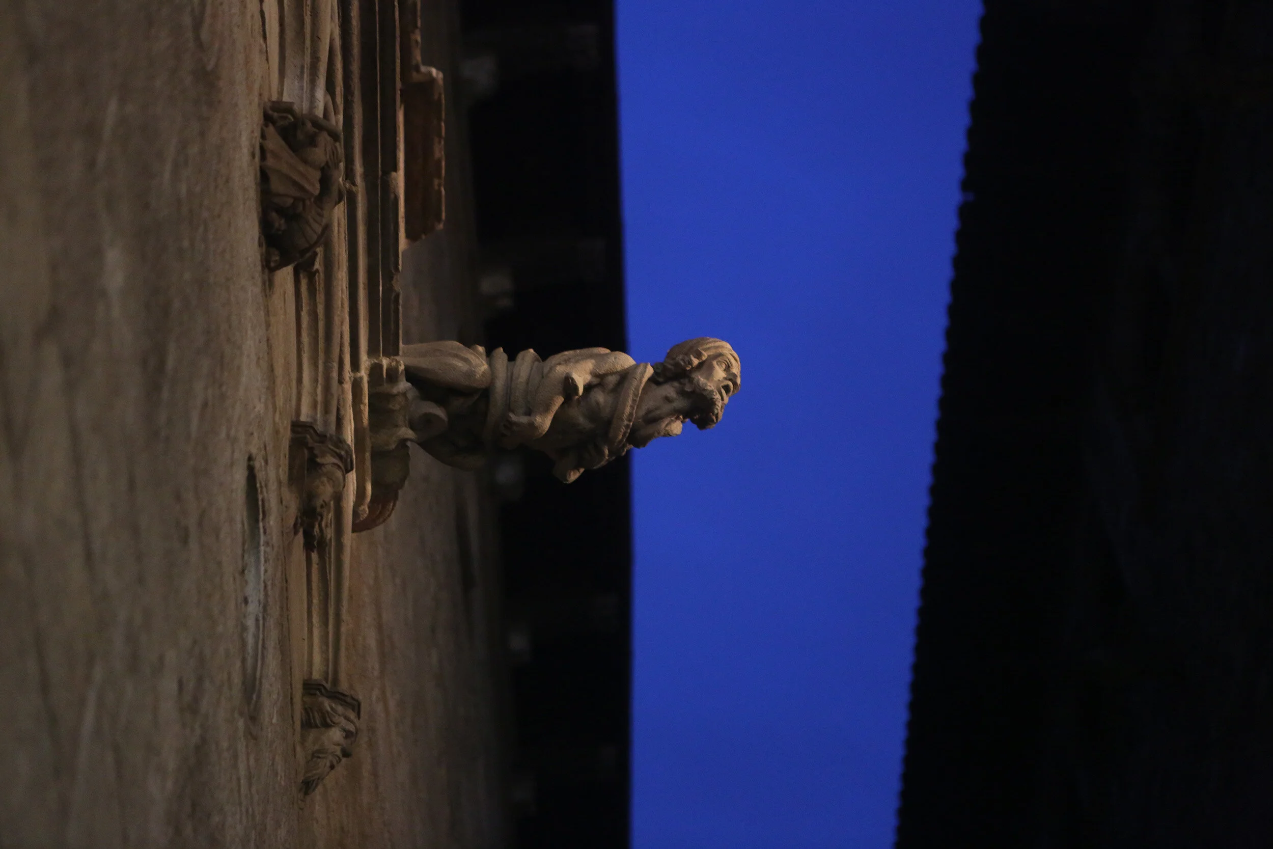 Hanging Gargoyle.jpg