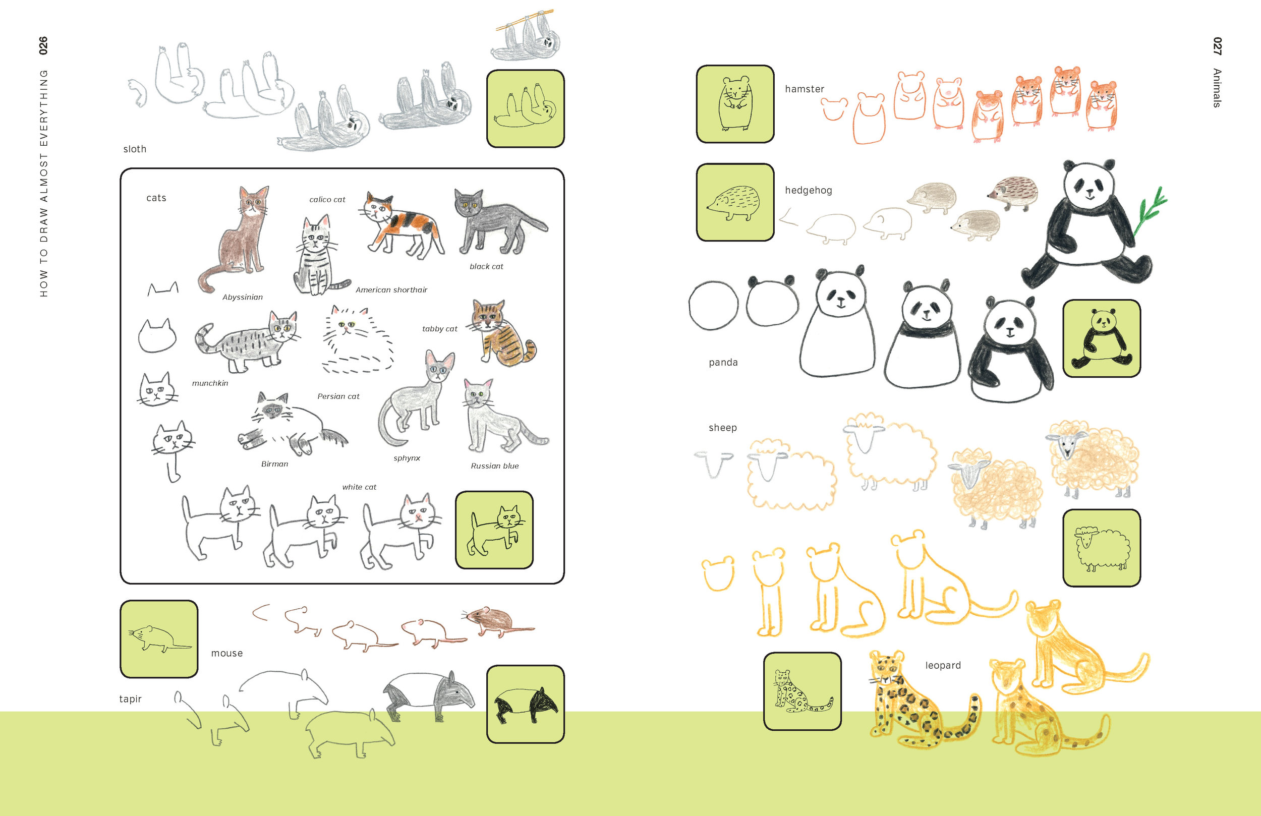 How to Draw Almost Everything 26.27.jpg