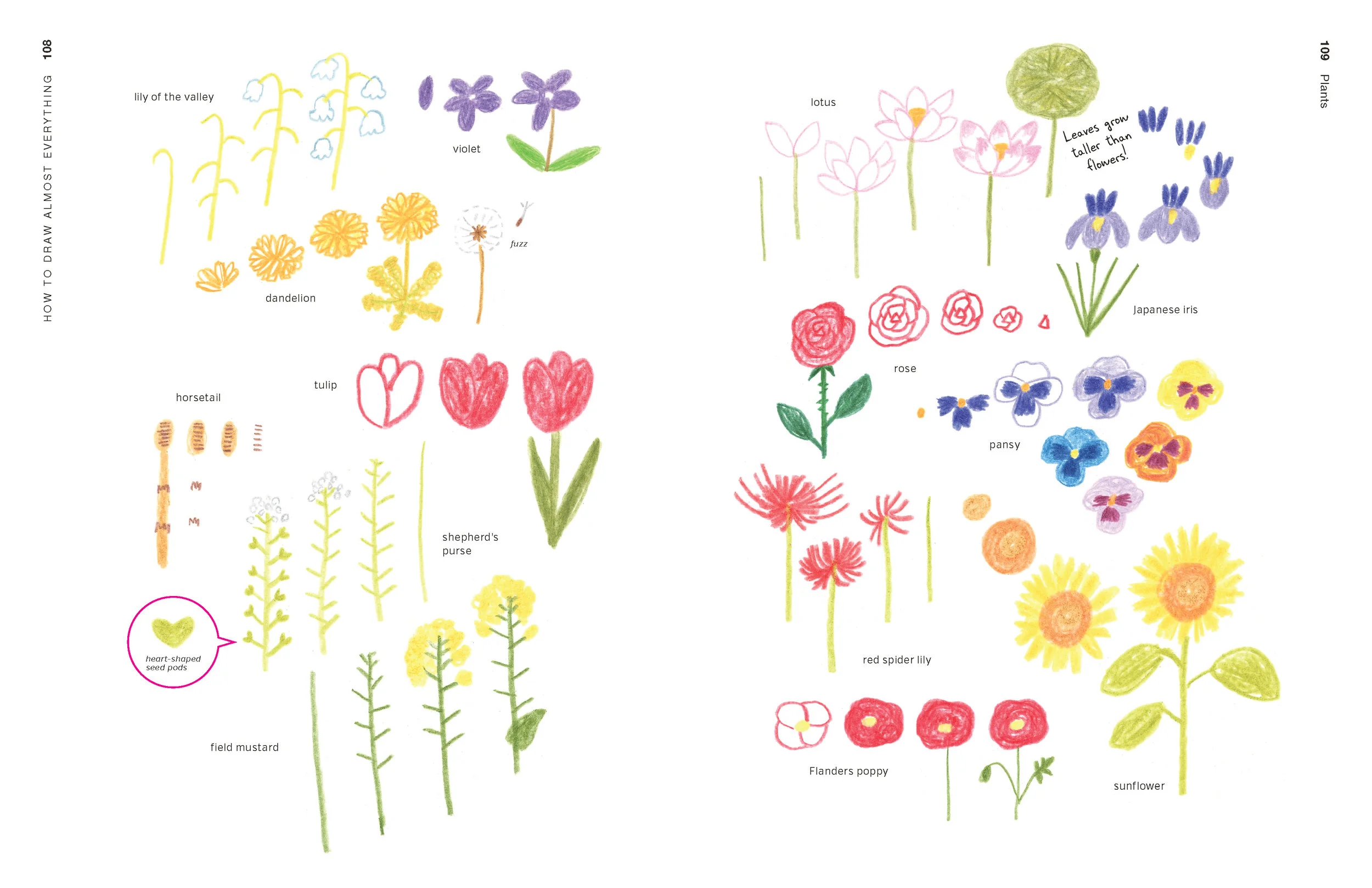 How to Draw Almost Everything 108.109.jpg