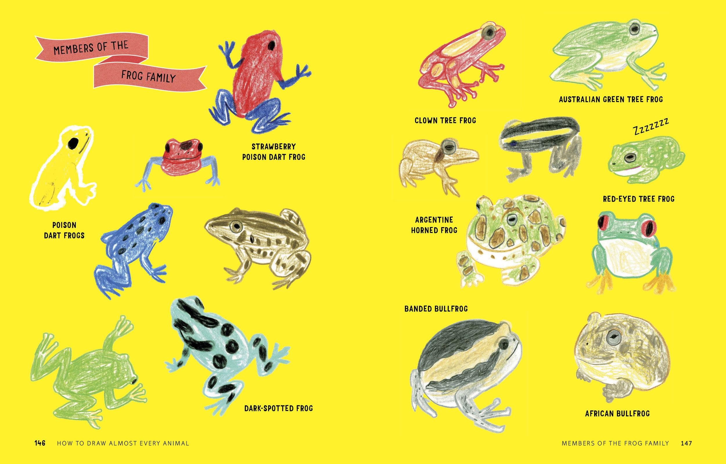 How to Draw Almost Every Animal 146.147.jpg