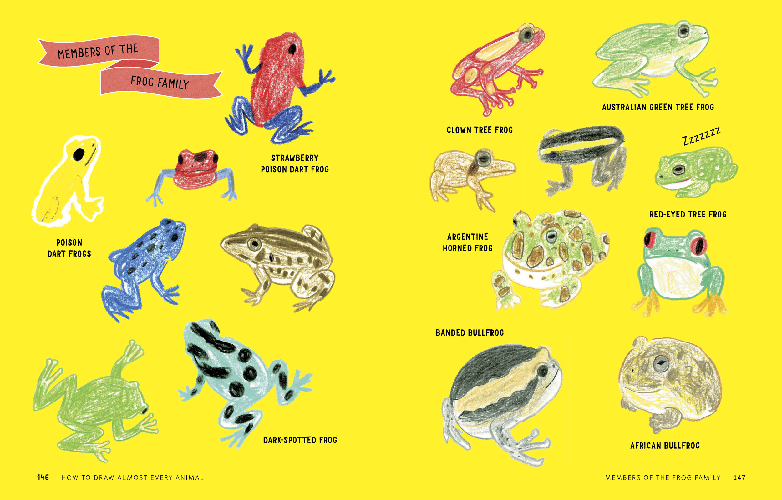 How to Draw Almost Every Animal 146.147.jpg