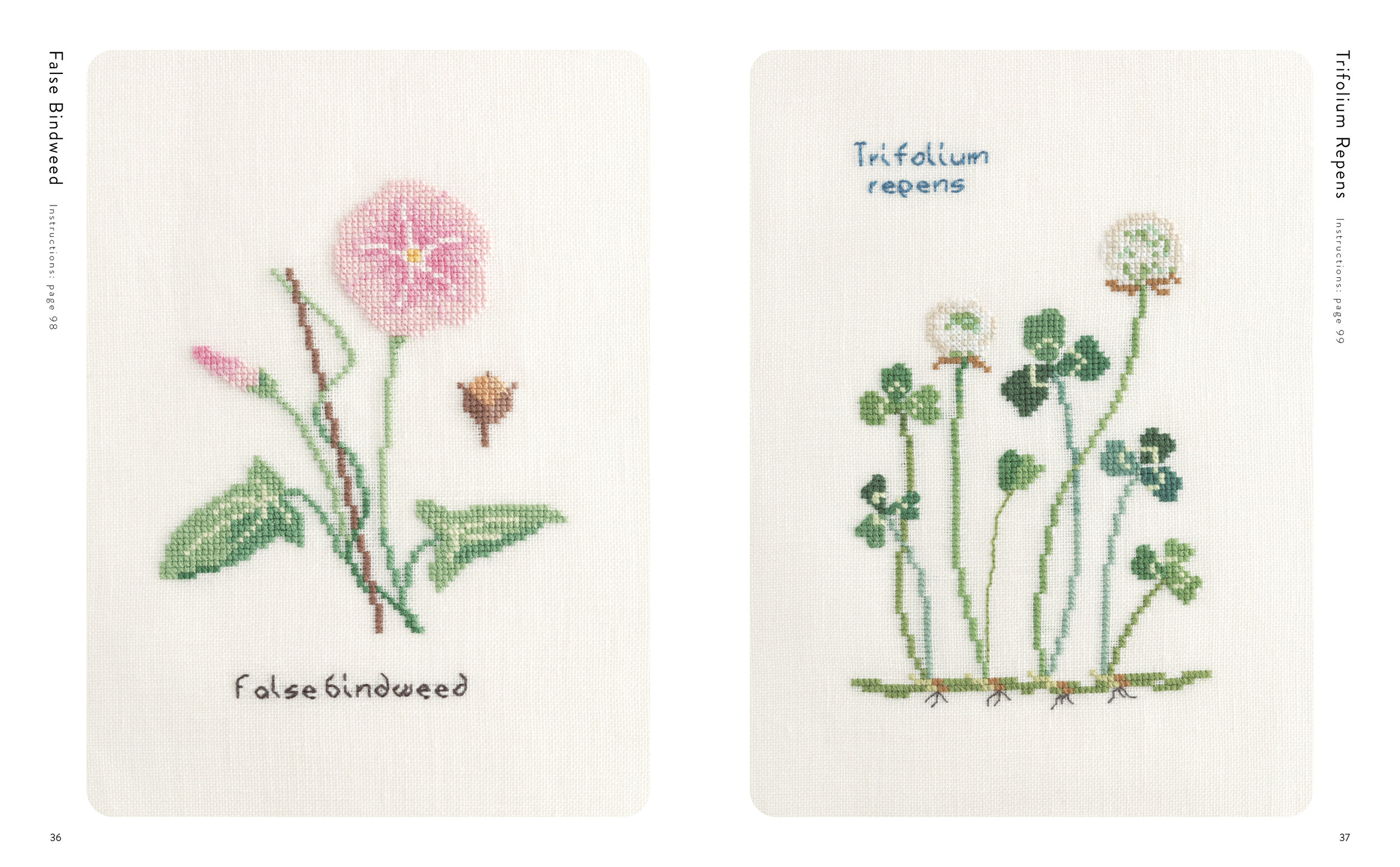 Cross Stitch Wildflowers and Grasses 36.37.jpg