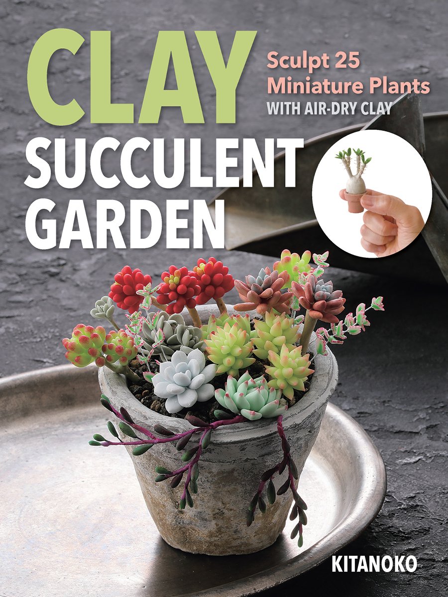 Clay Succulent Garden Cover 3.4.jpg