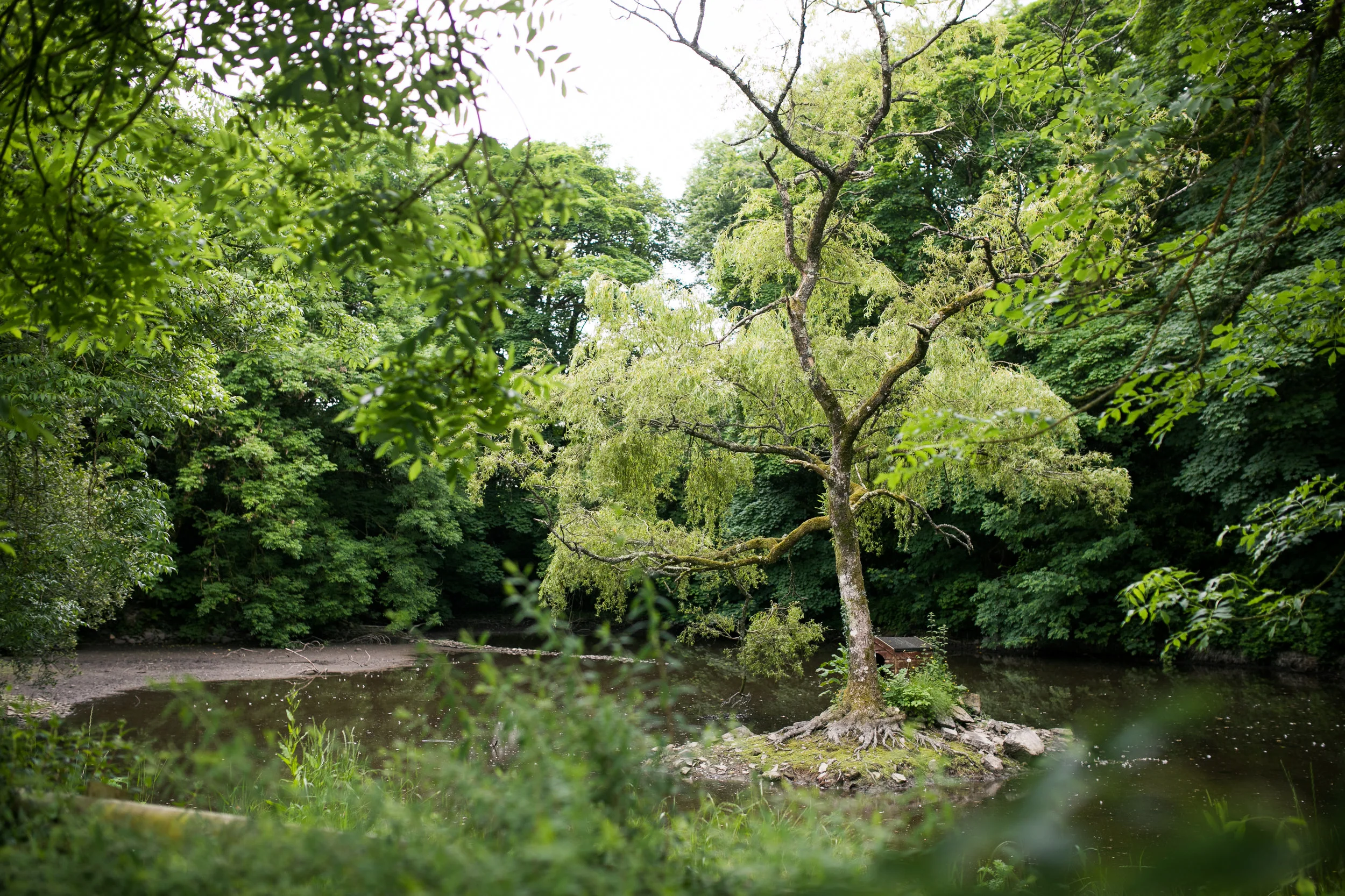 The duck pond.