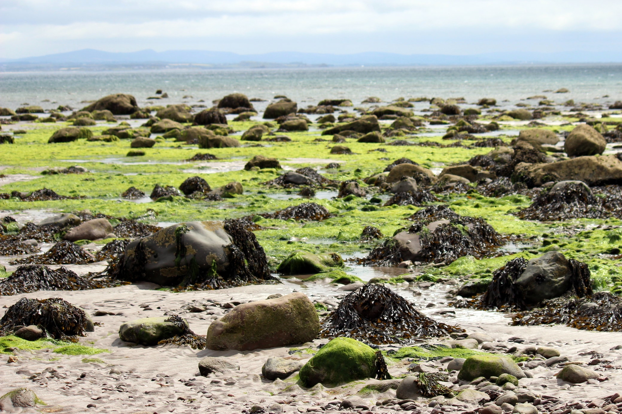 42 CastleGregory Beach.JPG