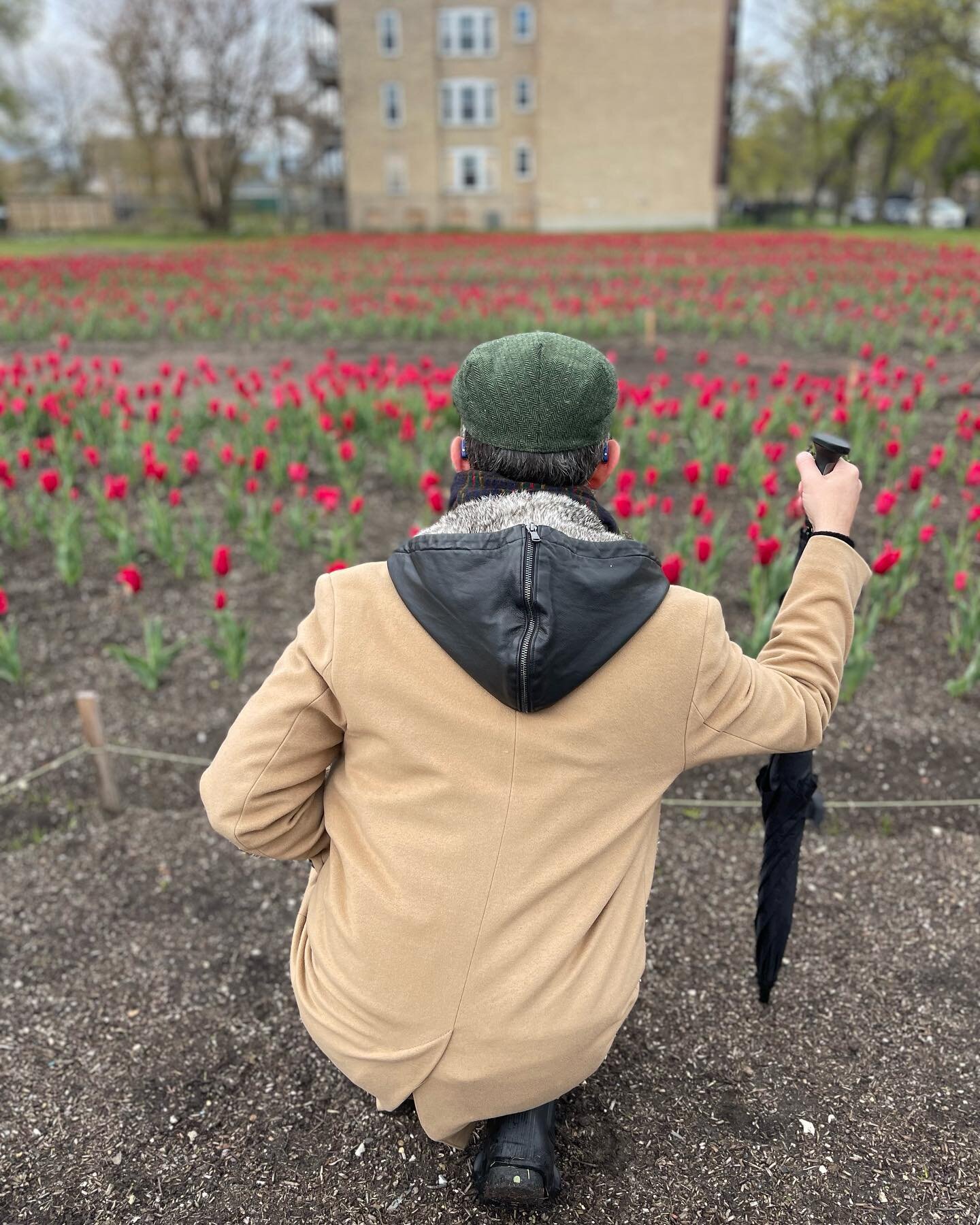 Artist Amanda Williams transformed several vacant lots on the South Side of Chicago where houses once stood  into fields and fields of red tulips.

The result: &ldquo;Redefining Redlining,&rdquo; an artwork intended to highlight the systemic disinves