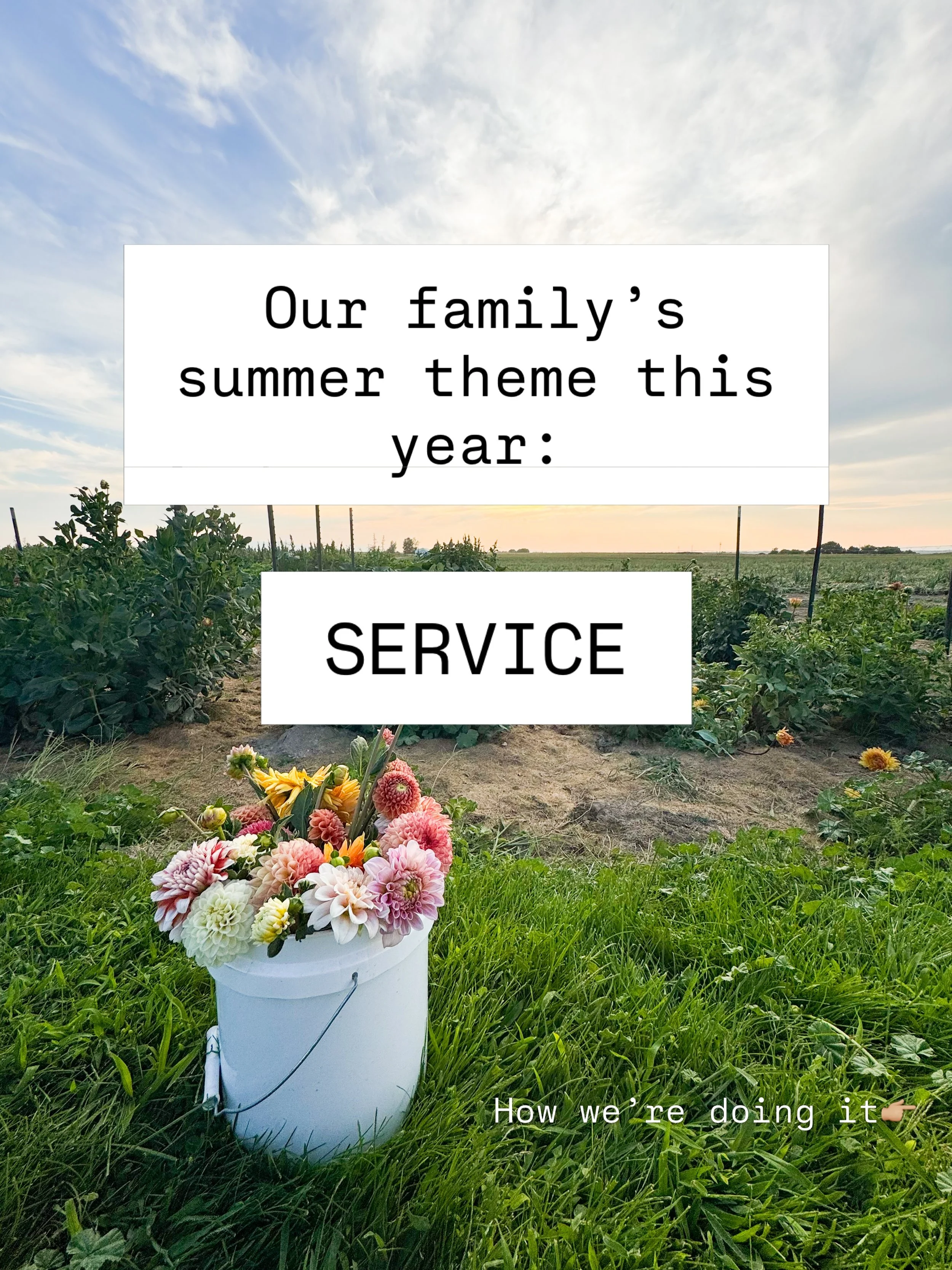 I wanted to do something for our family this summer that would give it some meaning without being overwhelming or more complicated. 

So we&rsquo;re going to serve this summer! Every week our kids get to choose who &amp; how to serve &amp; I can&rsqu