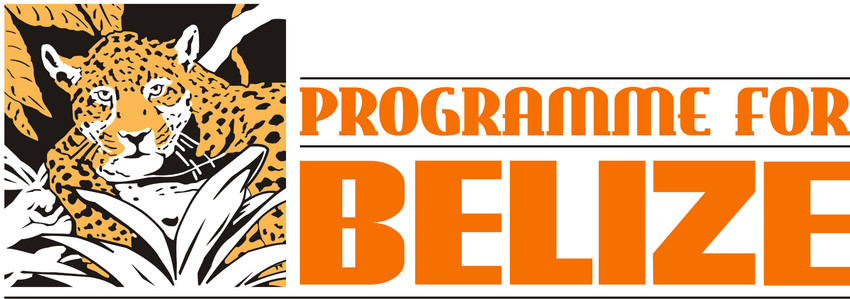 Programme for Belize